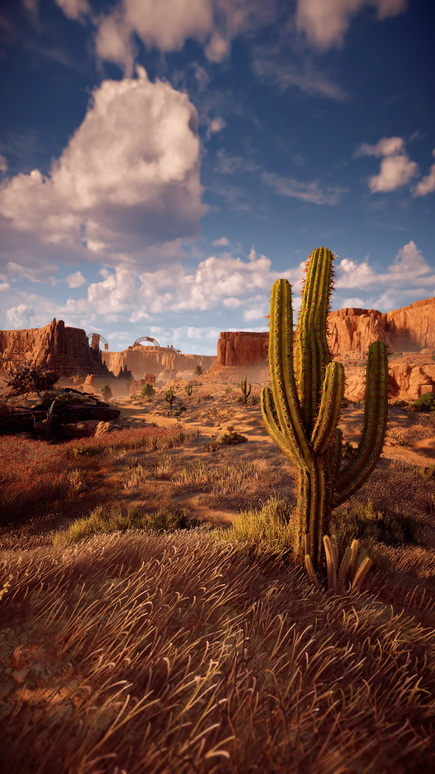 HD wallpaper of a desert with cactus in a clear sky for free