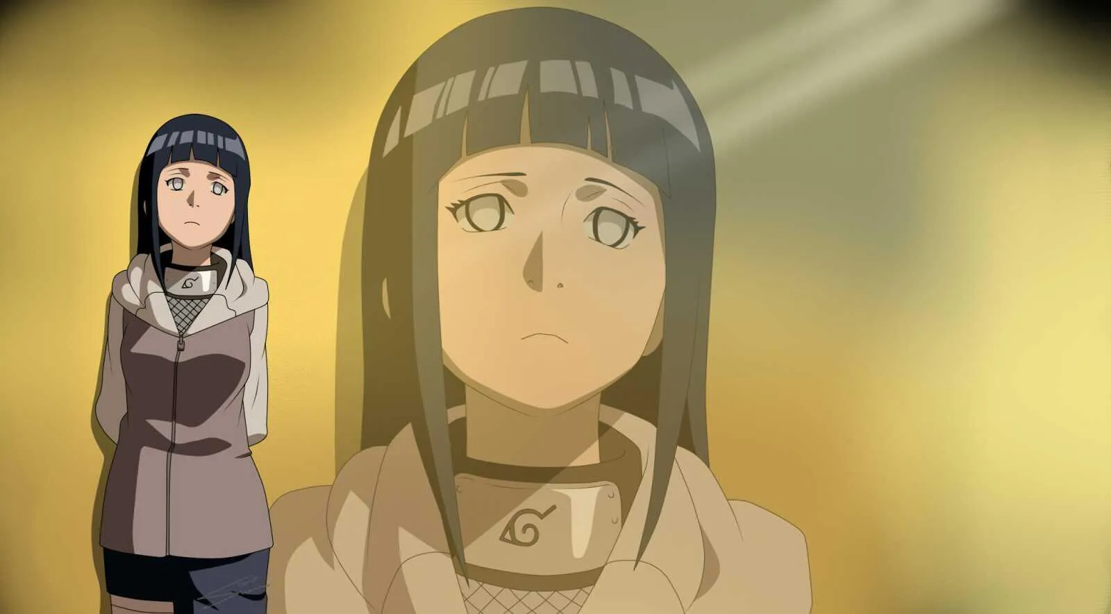 Hinata Hyuga and Neji Hyuga Looking Determined in Ninja Village