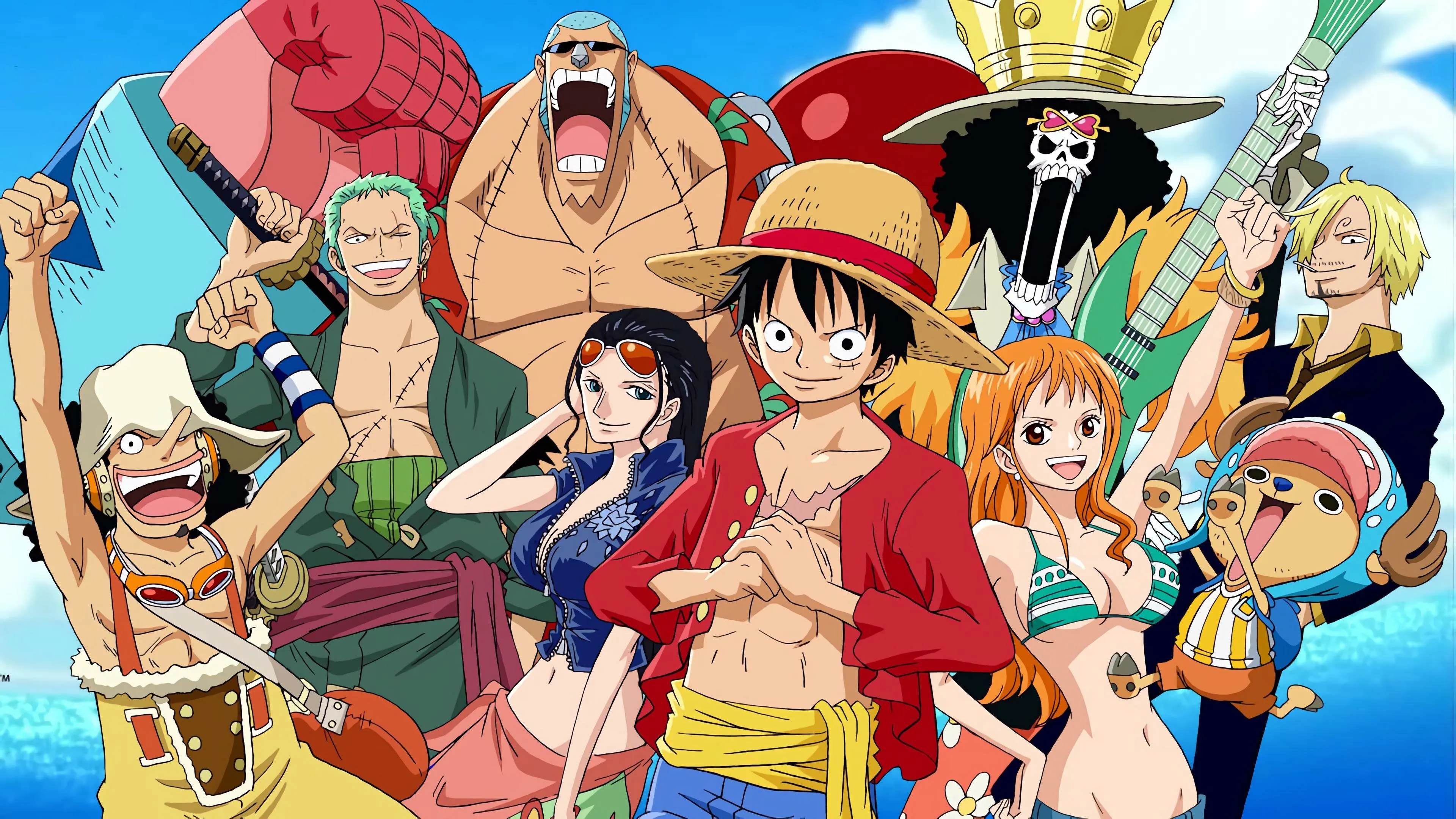 Luffy and Friends Smiling Together from One Piece Anime
