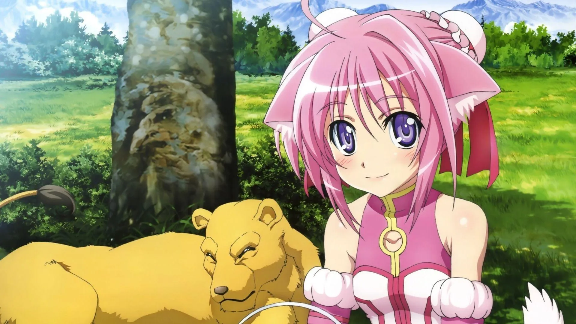 Moka Akashiya in Pink Hair from Rosario Vampire Wallpaper