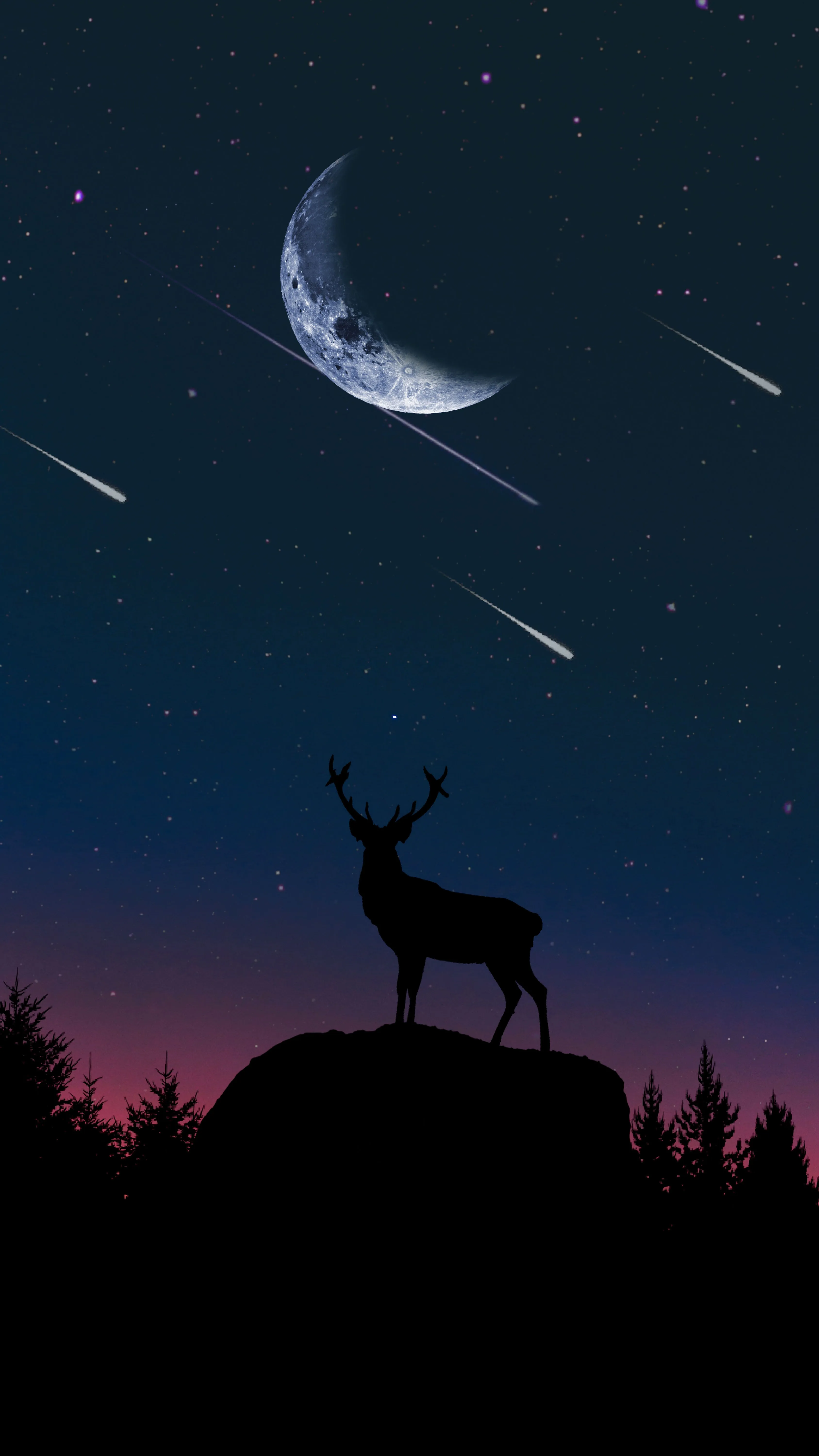Download free wallpaper of a deer standing above the rock