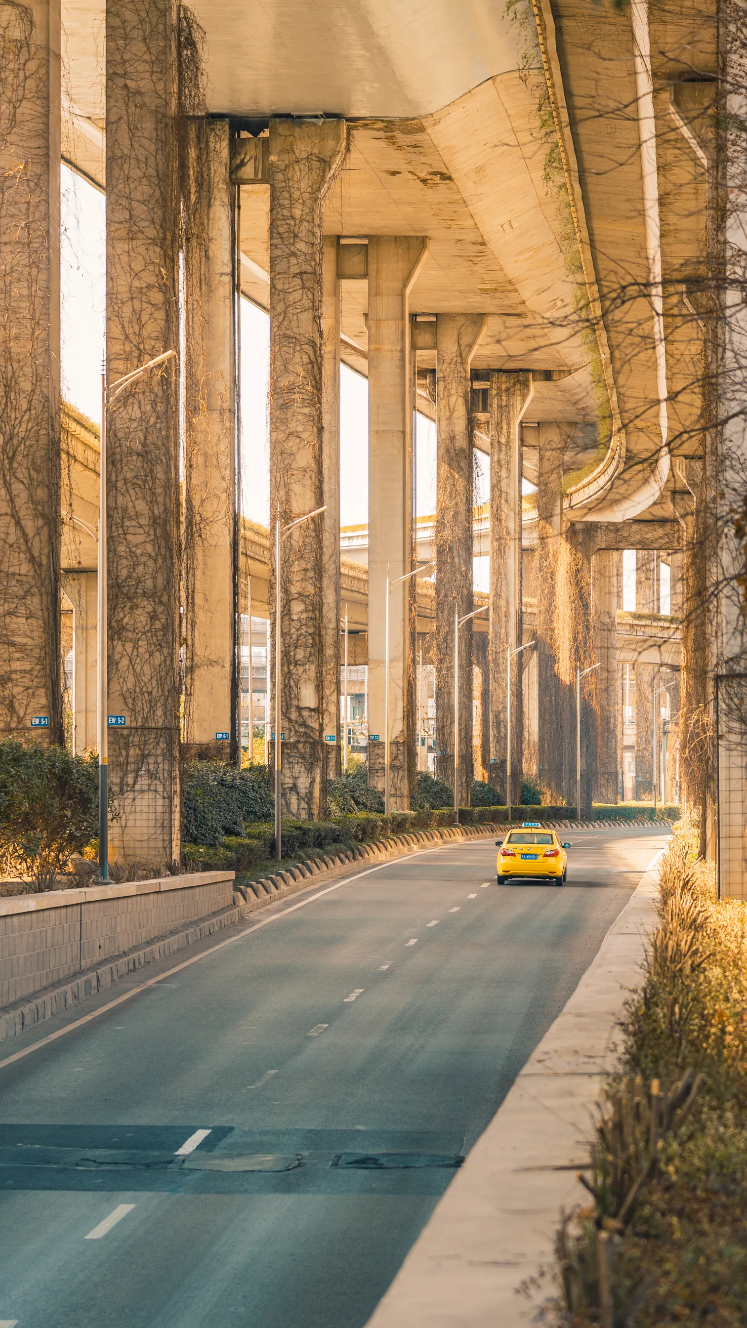 HD Wallpaper of Road under the bridge with yellow taxi