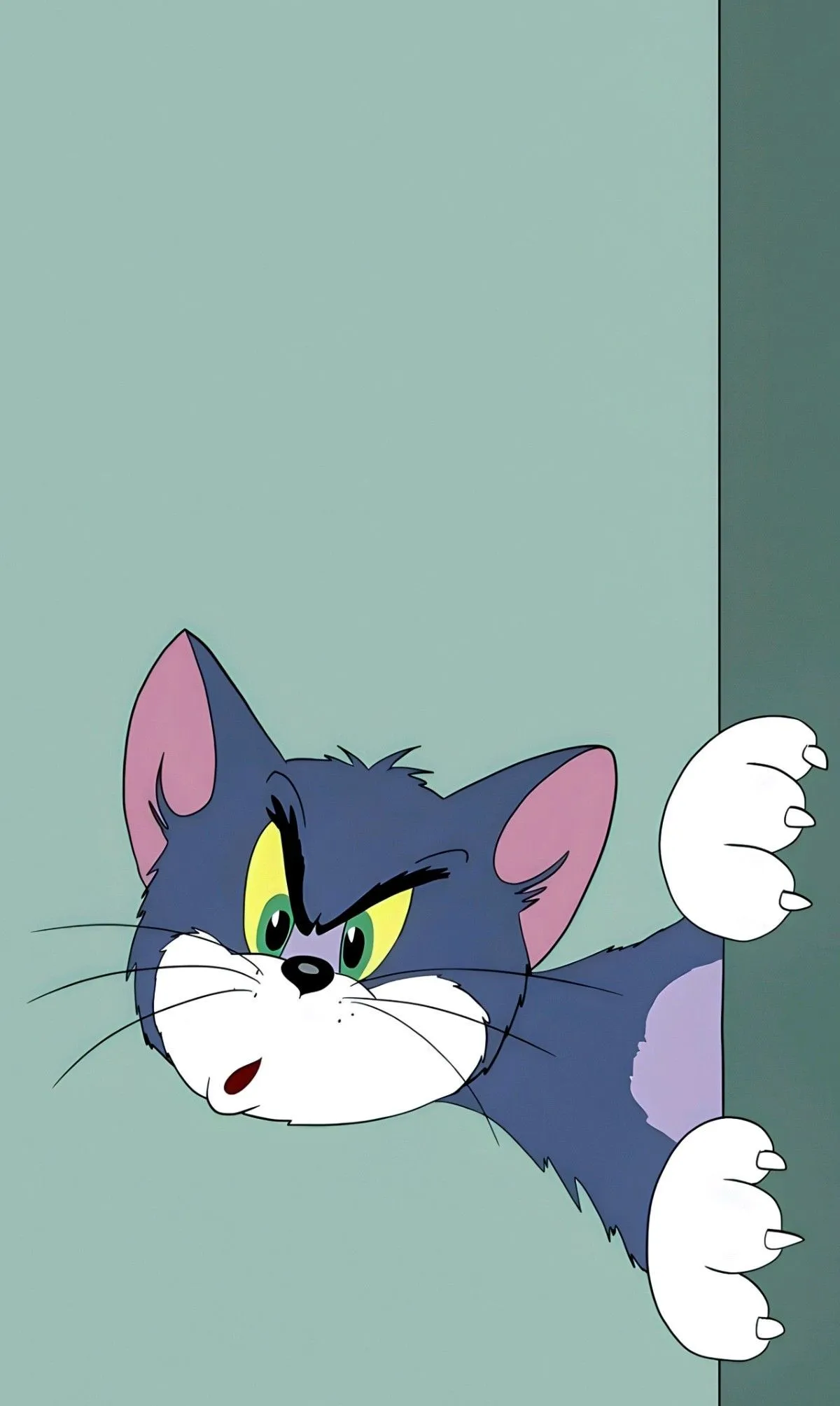 Sleepy Tom with Head on the Wall Facing Forward wallpaper