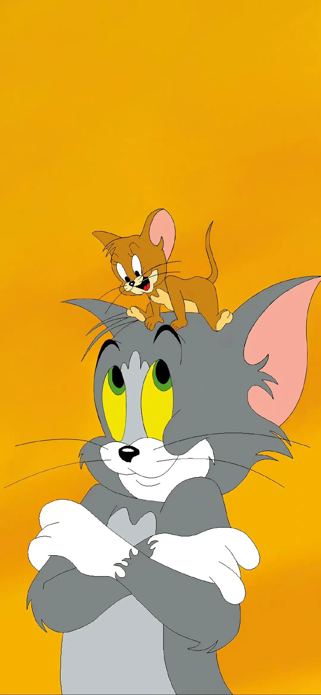 Tom Holding Rose While Smiling in Yellow Cartoon Background