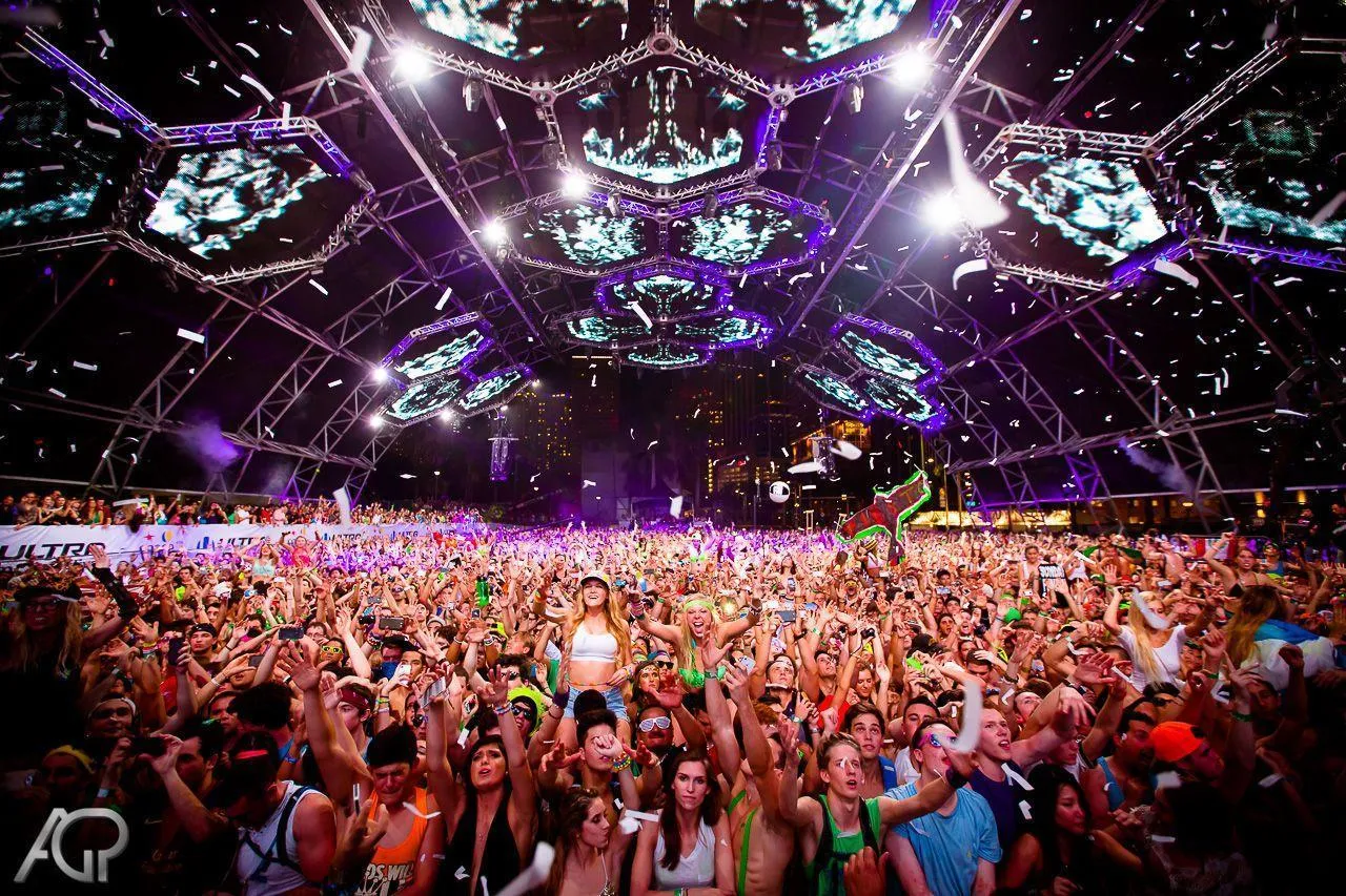 Crowd in Full Celebration Mode at Electric Dance Festival
