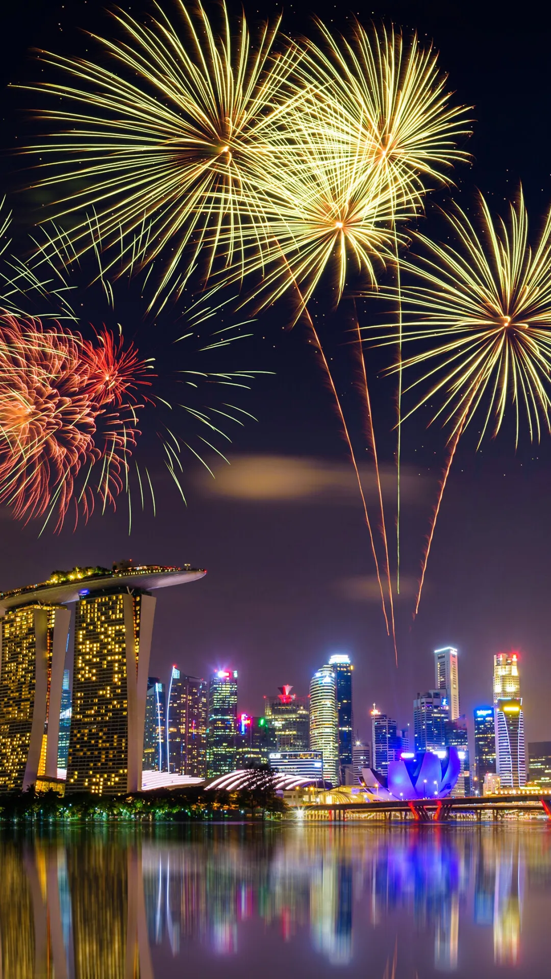 Dark Sky with Sparkling Flowers Firecrackers Wallpaper Hd