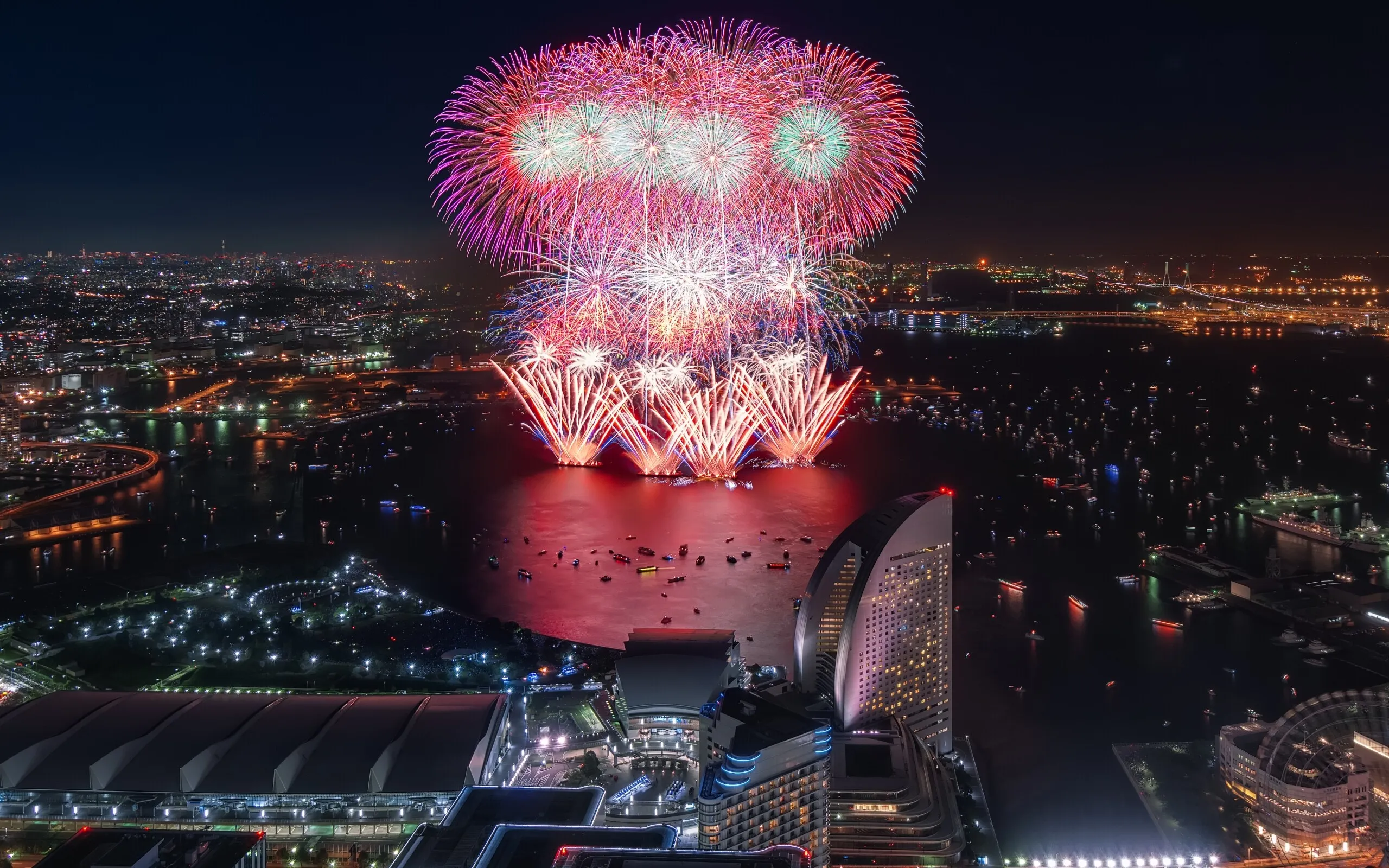 Fireworks in the Dark Sky Like Flowers Wallpaper HD Free