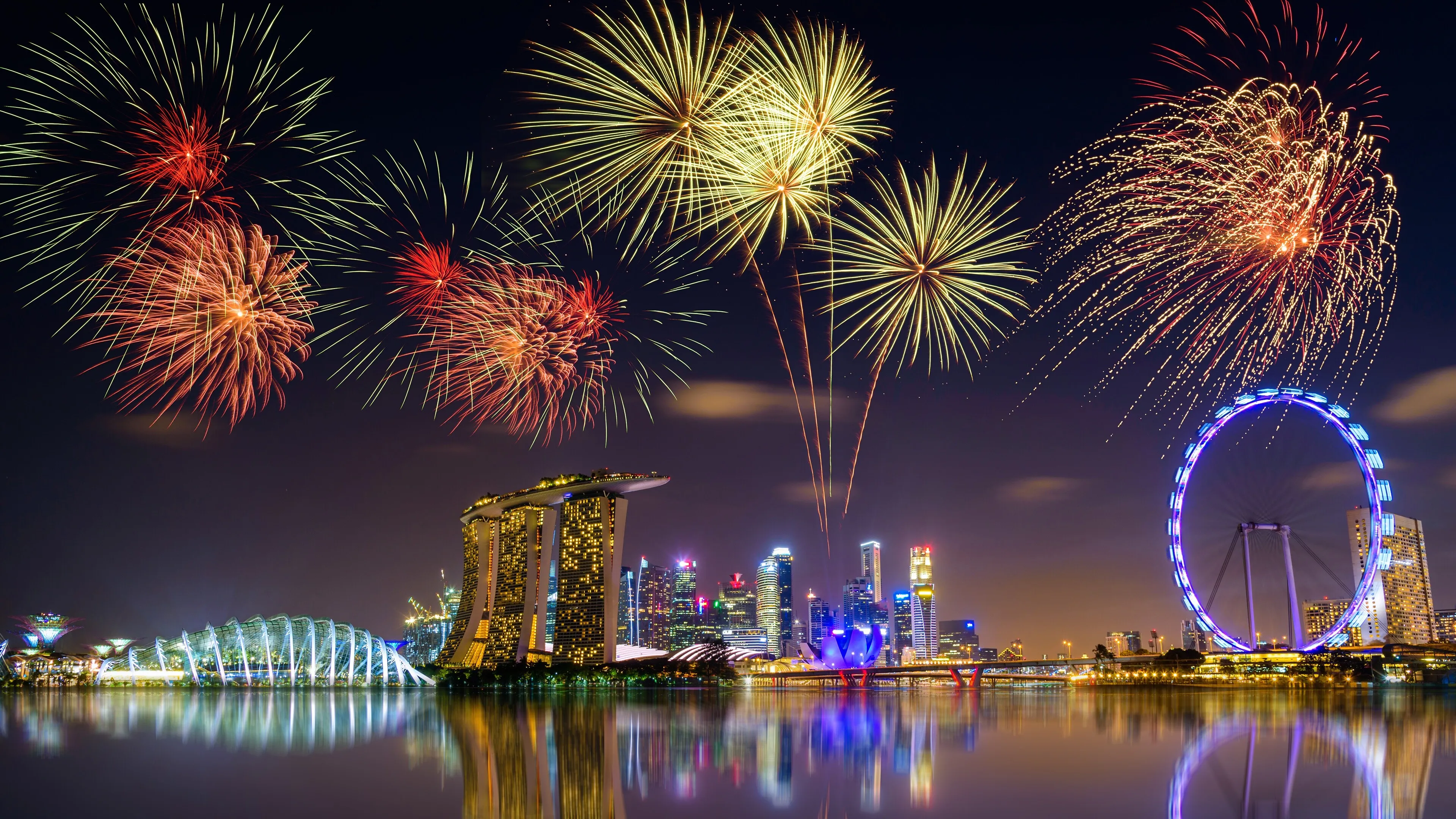 Night Sky with Fireworks Celebration Wallpaper Free Download