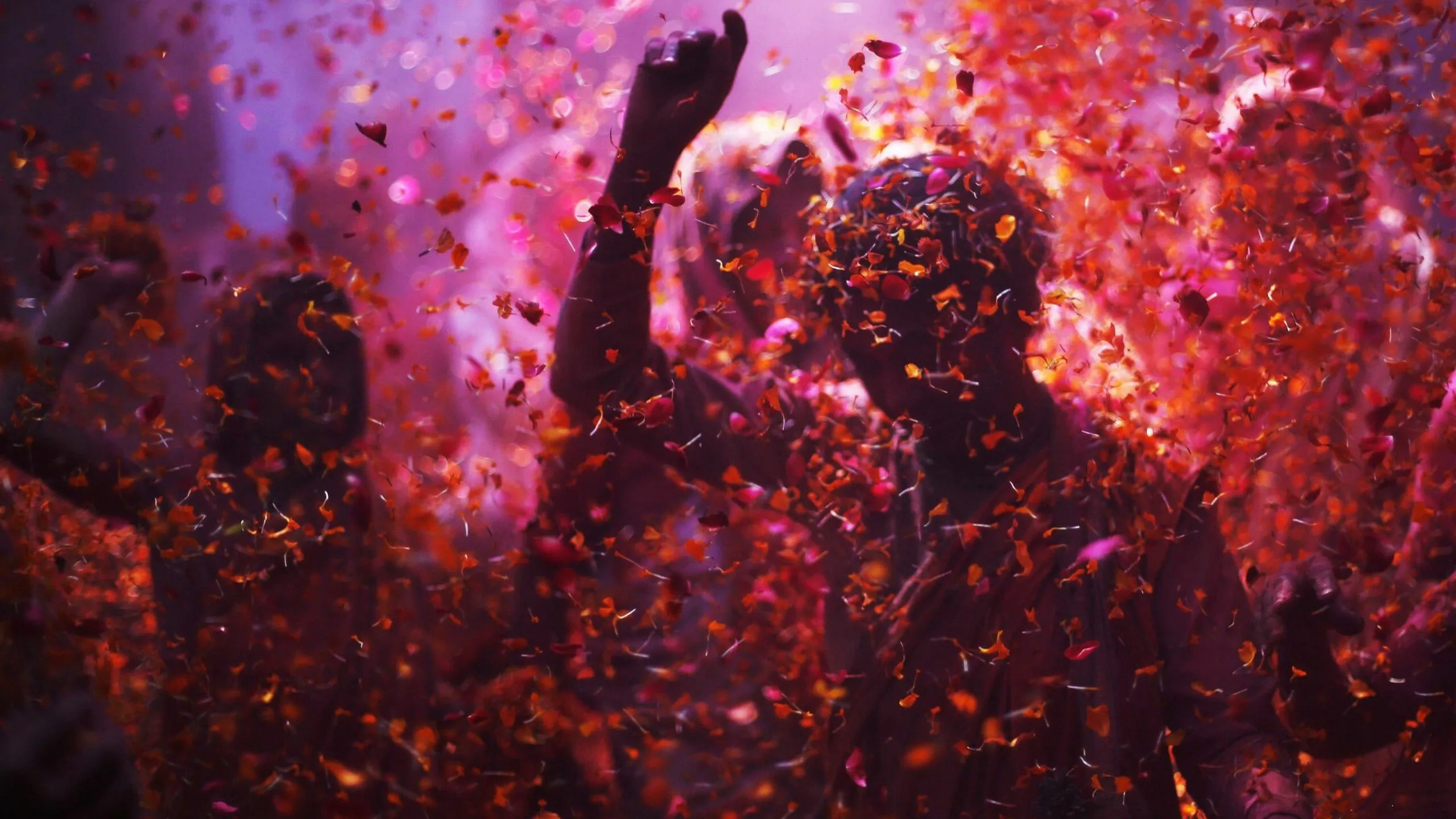 People Dancing in Flower Petals During Festival Night Hd