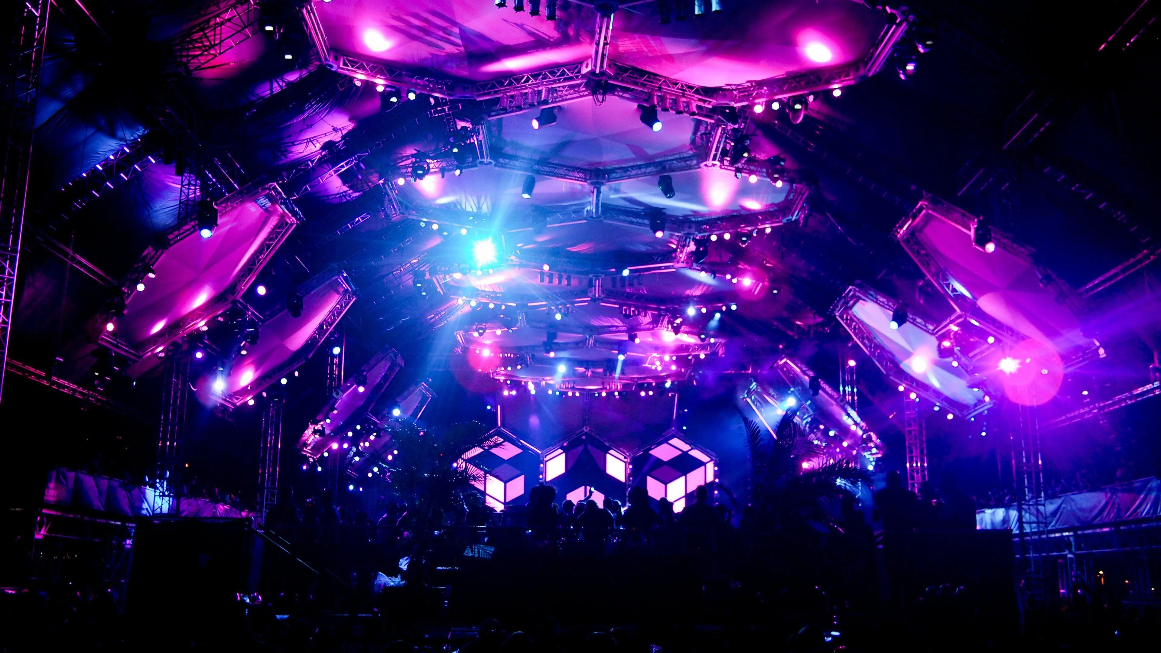 People Enjoying Dj Party at Night with Purple Colour Lights