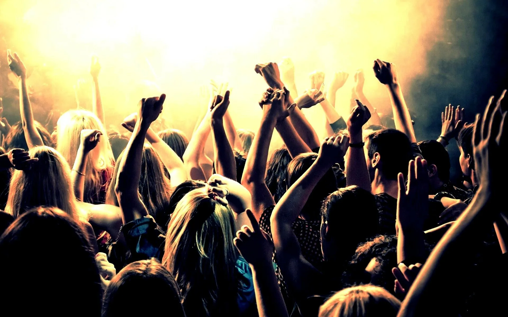 People Enjoying Together with the Vibrant Orange Light Hd