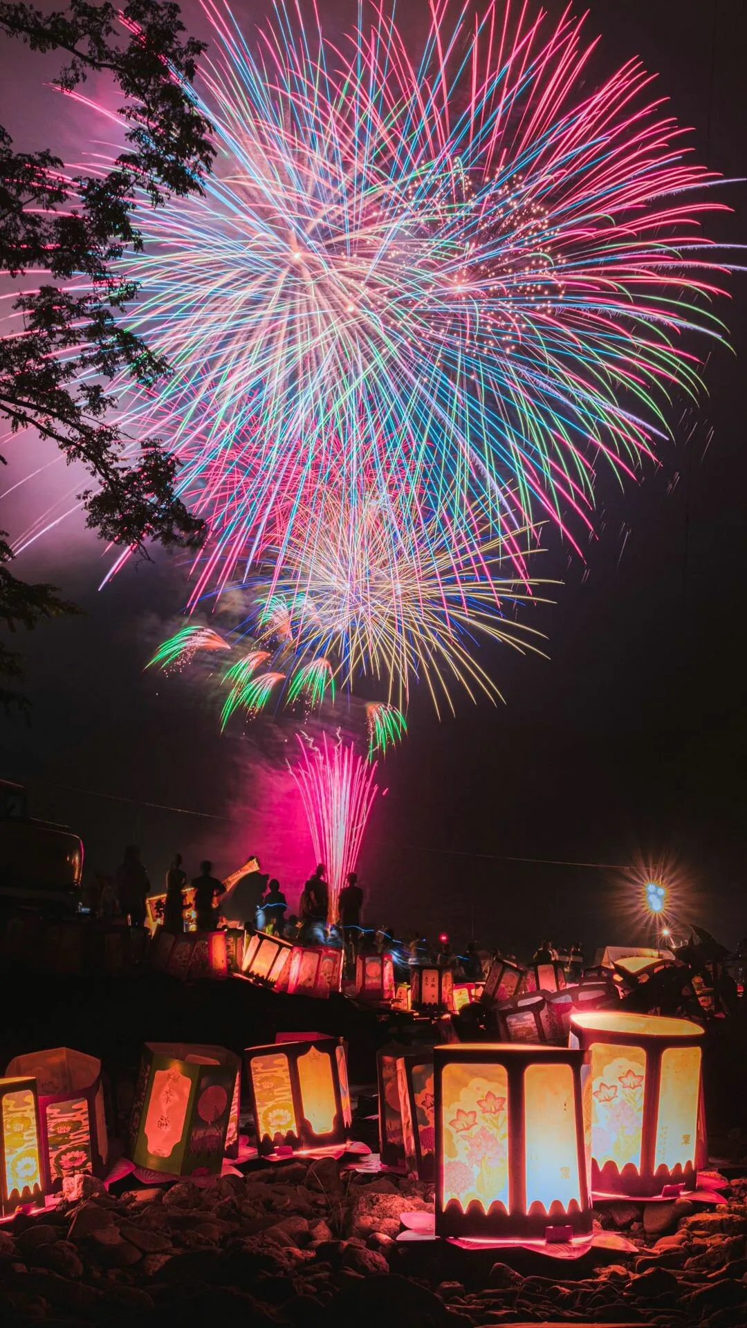 Portrait Images of Fireworks in the Dark Night Sky HD Free
