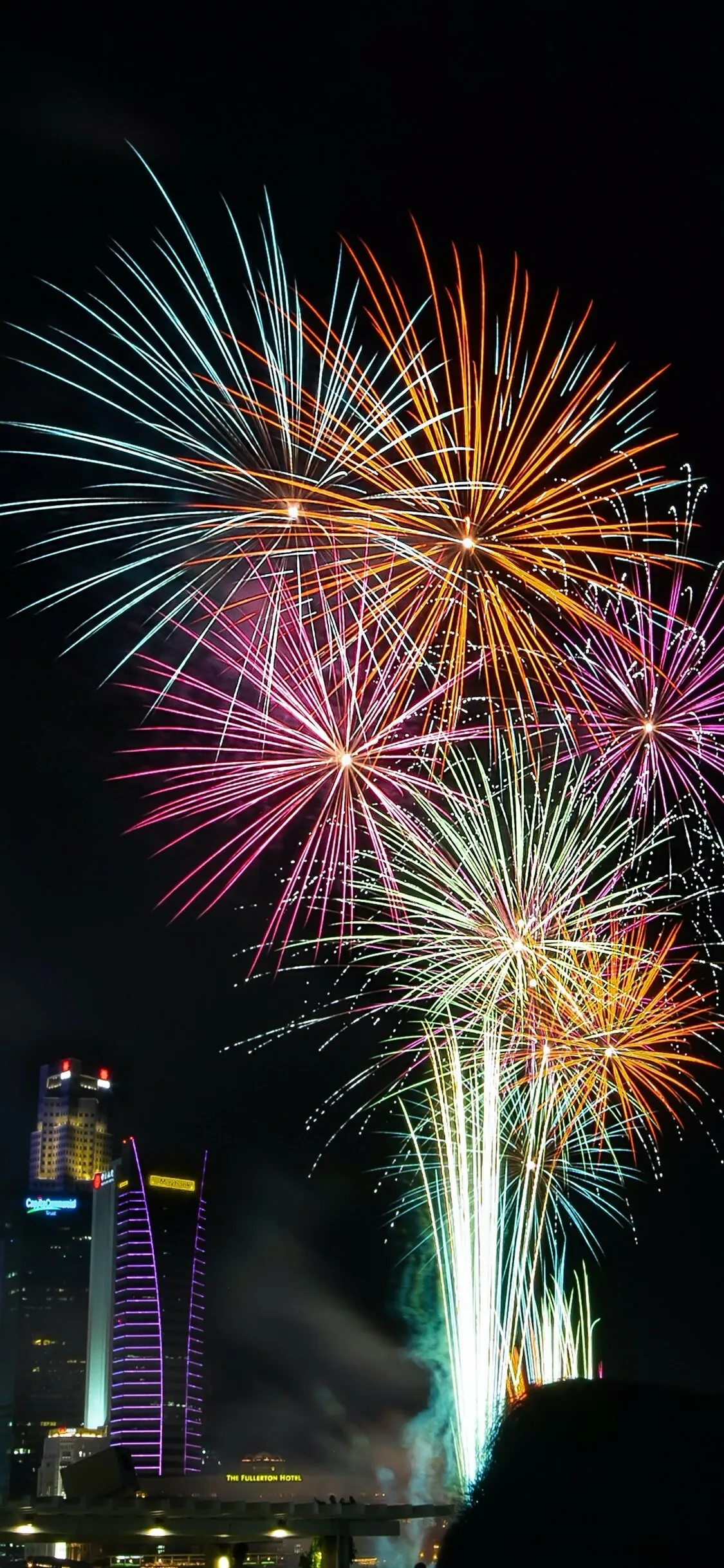 Portrait View of Fireworks in Sky HD Wallpaper Free Download