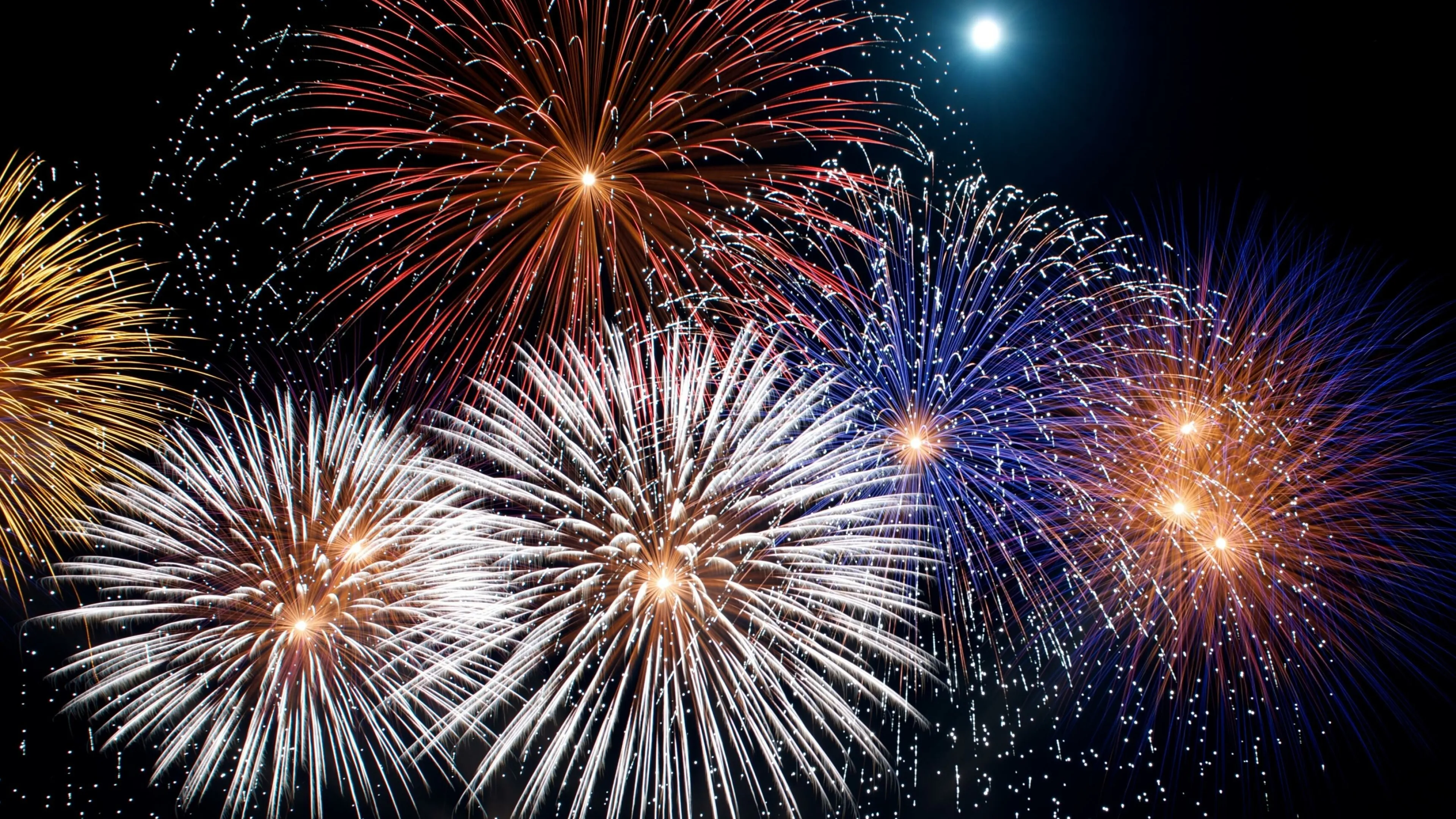 Purple and Pink Fireworks in the City Sky at Night Images