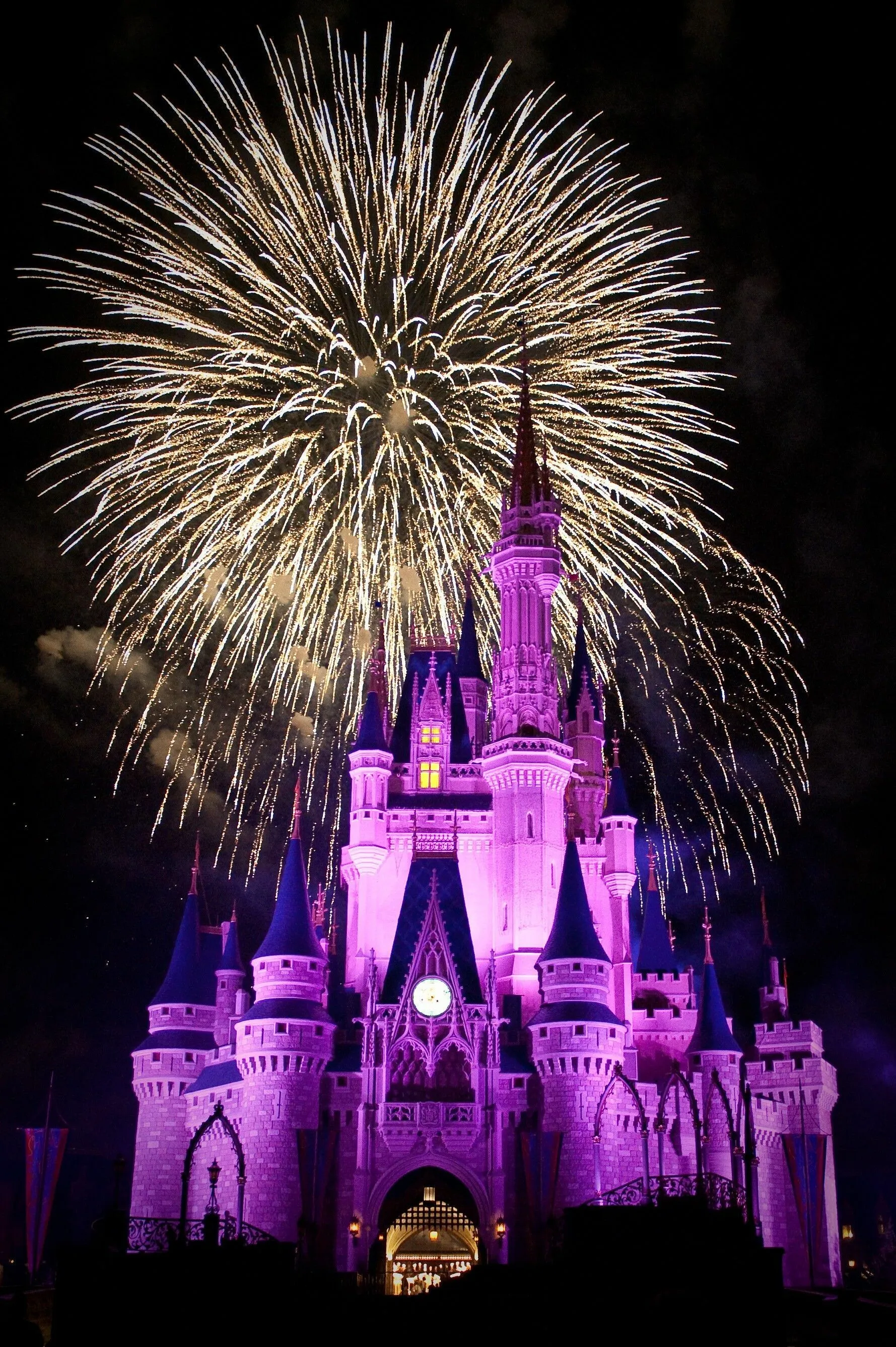 Stunning View of Fireworks Along with Beautiful Building Hd