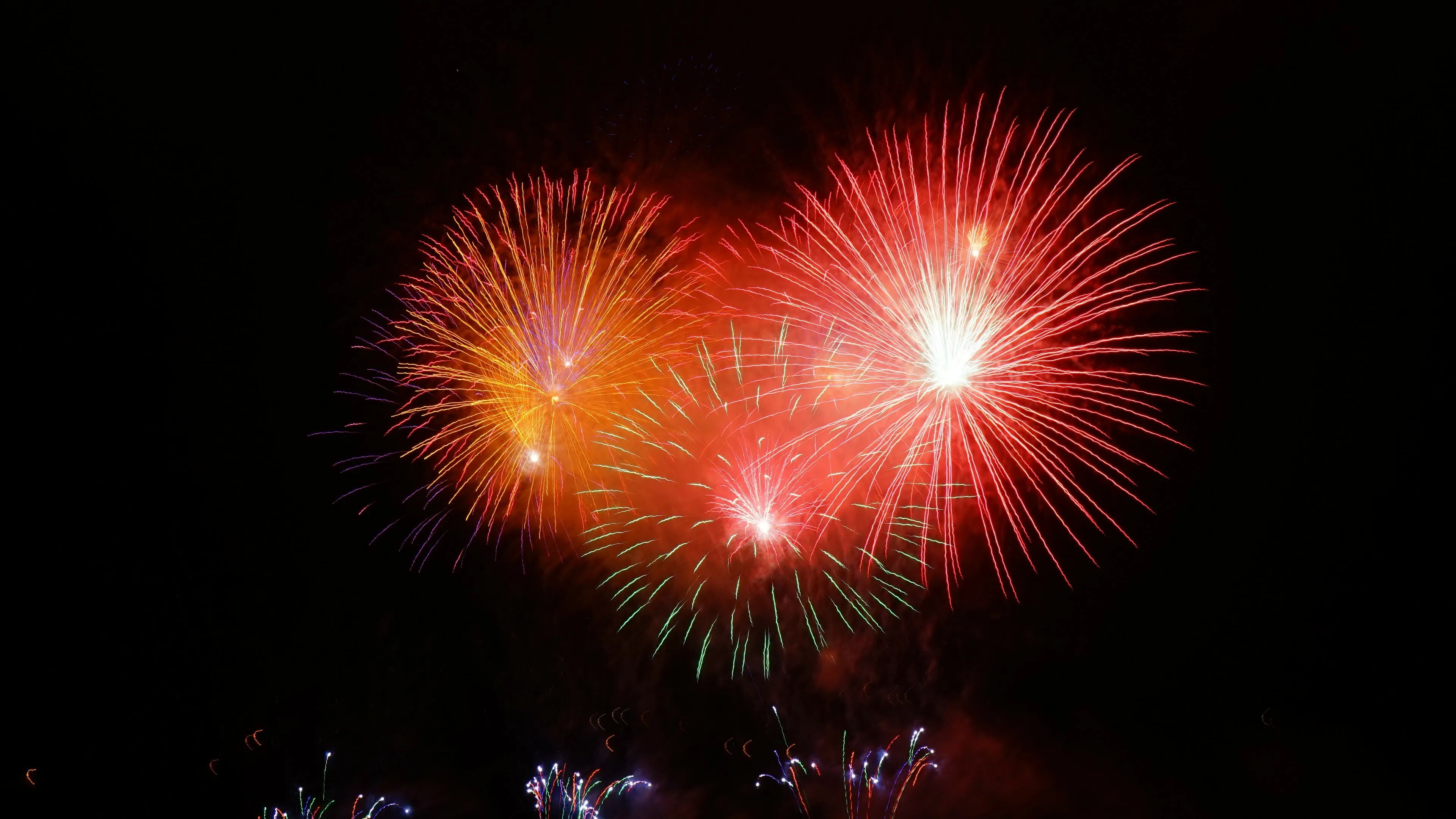 Vibrant Colours Fireworks Show in the Sky Wallpaper Hd