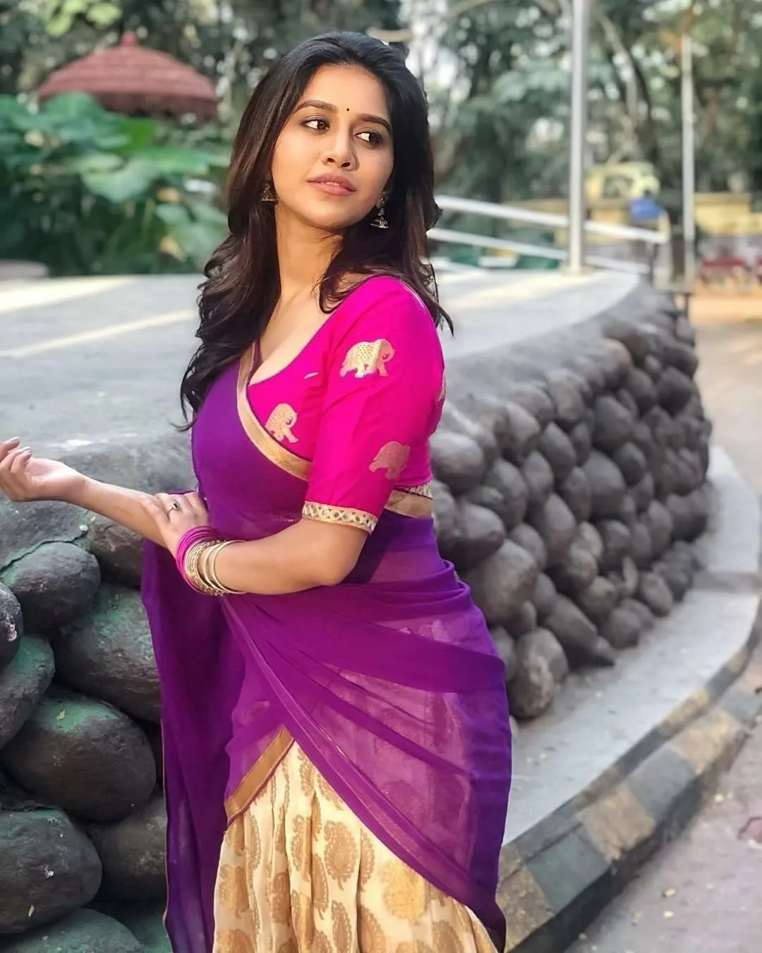 Attractive Nabha Natesh in Purple Silk Saree Style Wallpaper