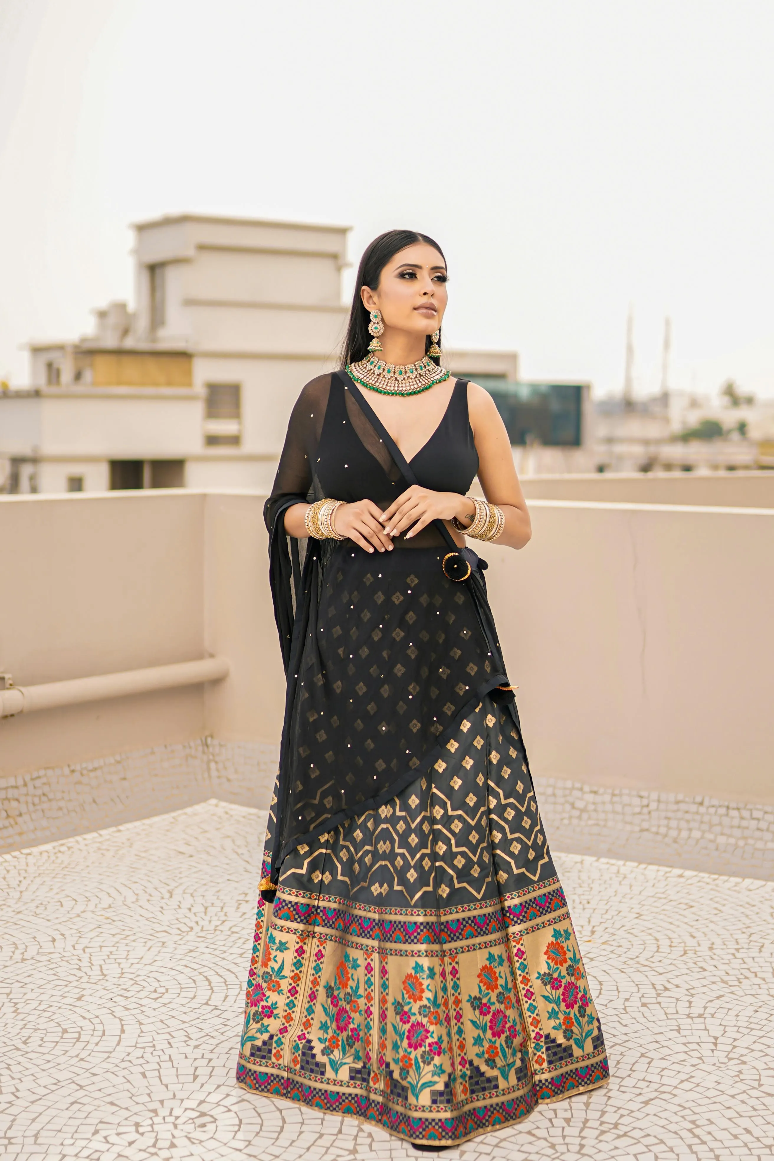 Beautiful Young Woman in Black Saree Rooftop Portrait Image