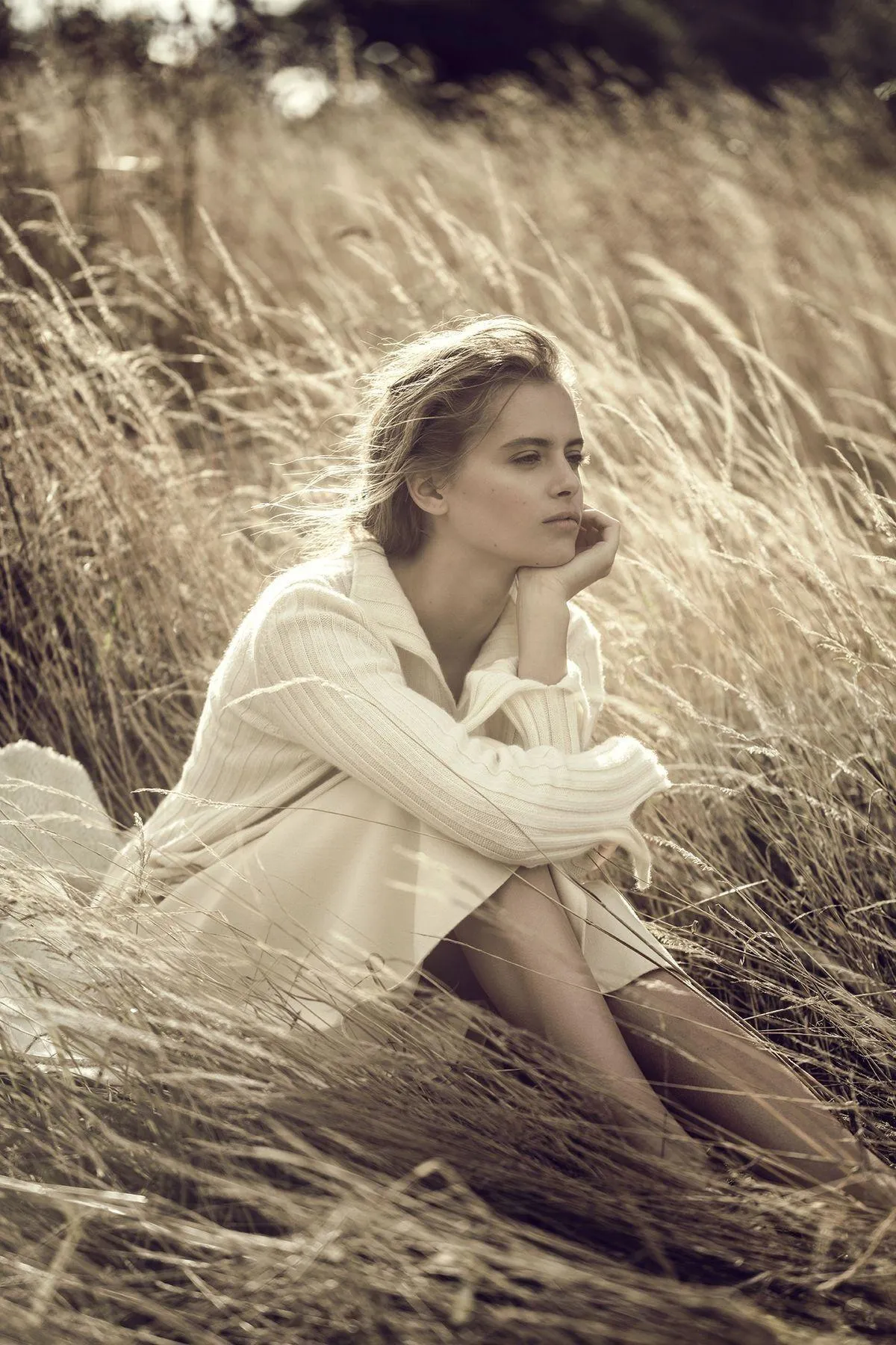 Blonde Woman Sitting in a Field of Tall Golden Grasses Image