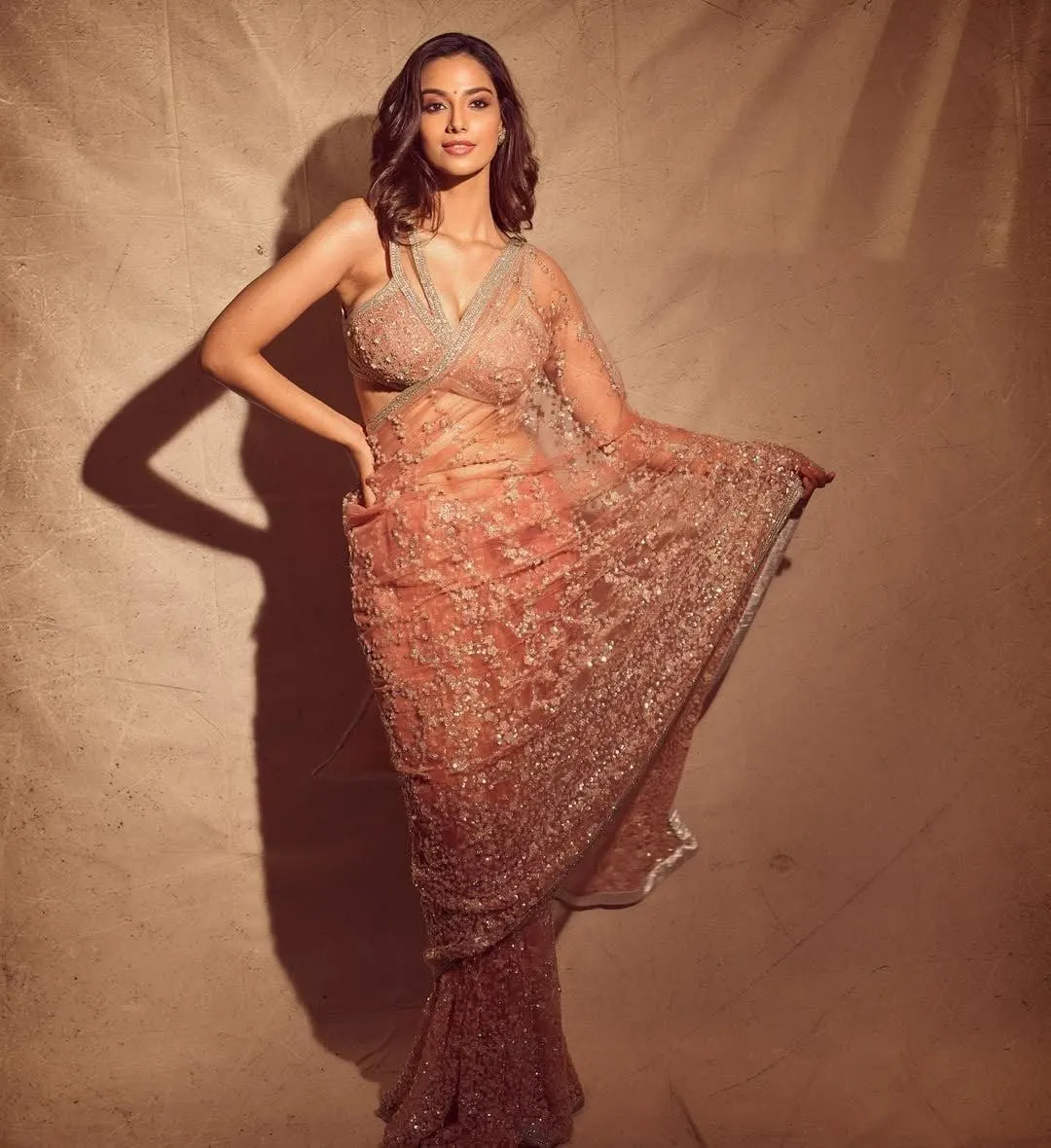 Charming Meenakshi Chaudhary in Peach Saree Reflecting Style