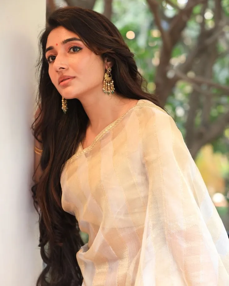 Mirnaa Menon in a Nerial saree lying on the white wall image