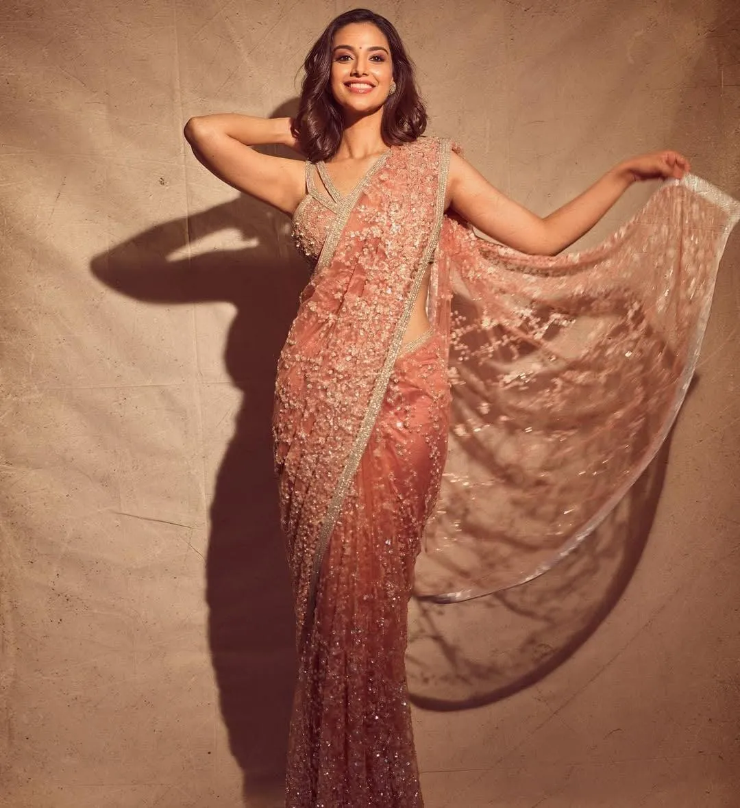 Tempting Meenakshi Chaudhary in Net Saree Exuding Glamour