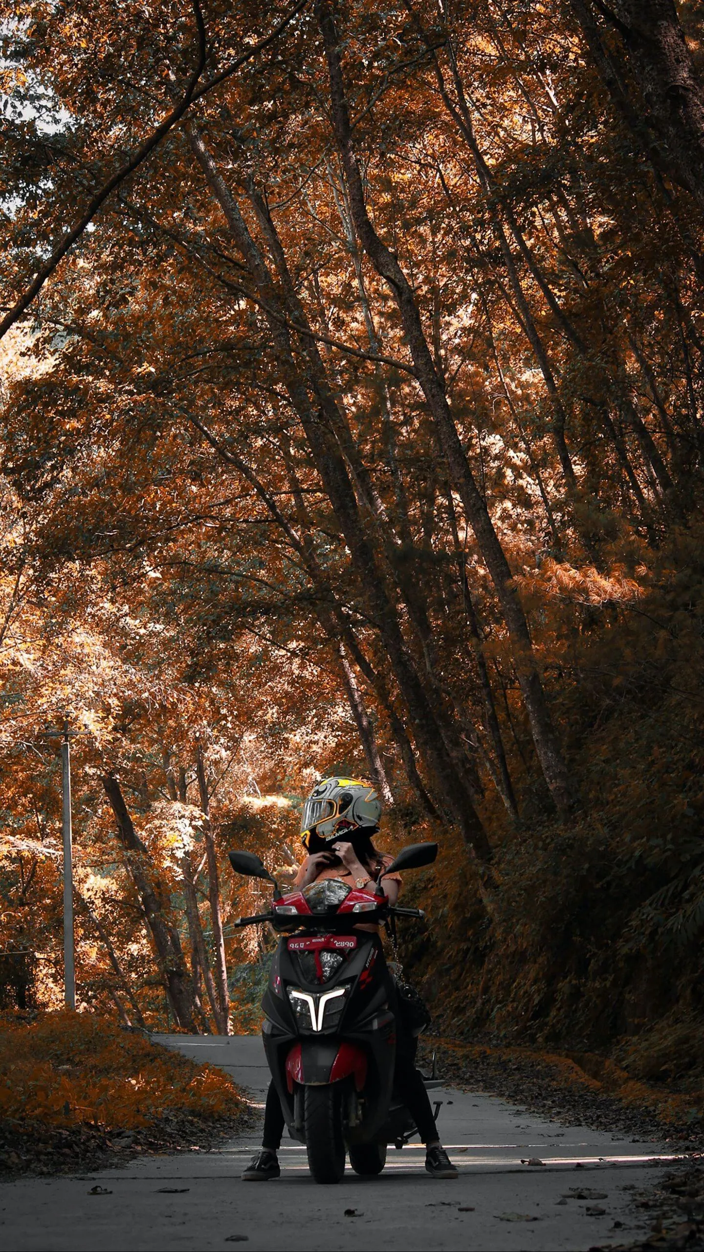 Woman Enjoying Springtime Surrounded by White Blossoms Image