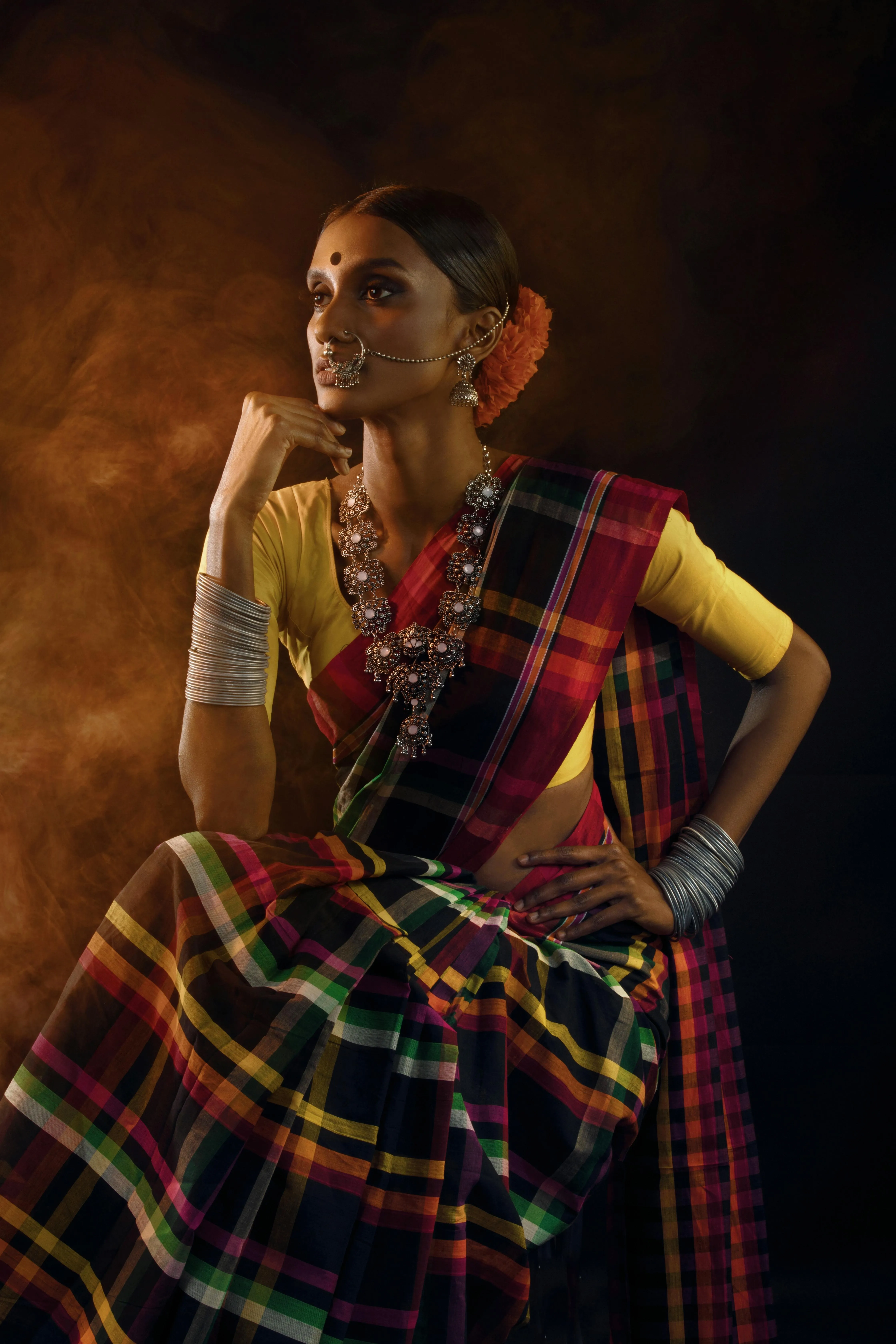 Young Woman in Checked Saree Posing with Cultural Charm