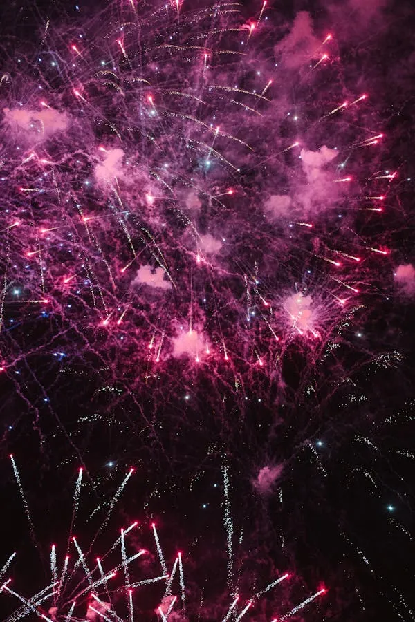 Amazing Pink and purple fireworks the night sky Wallpaper