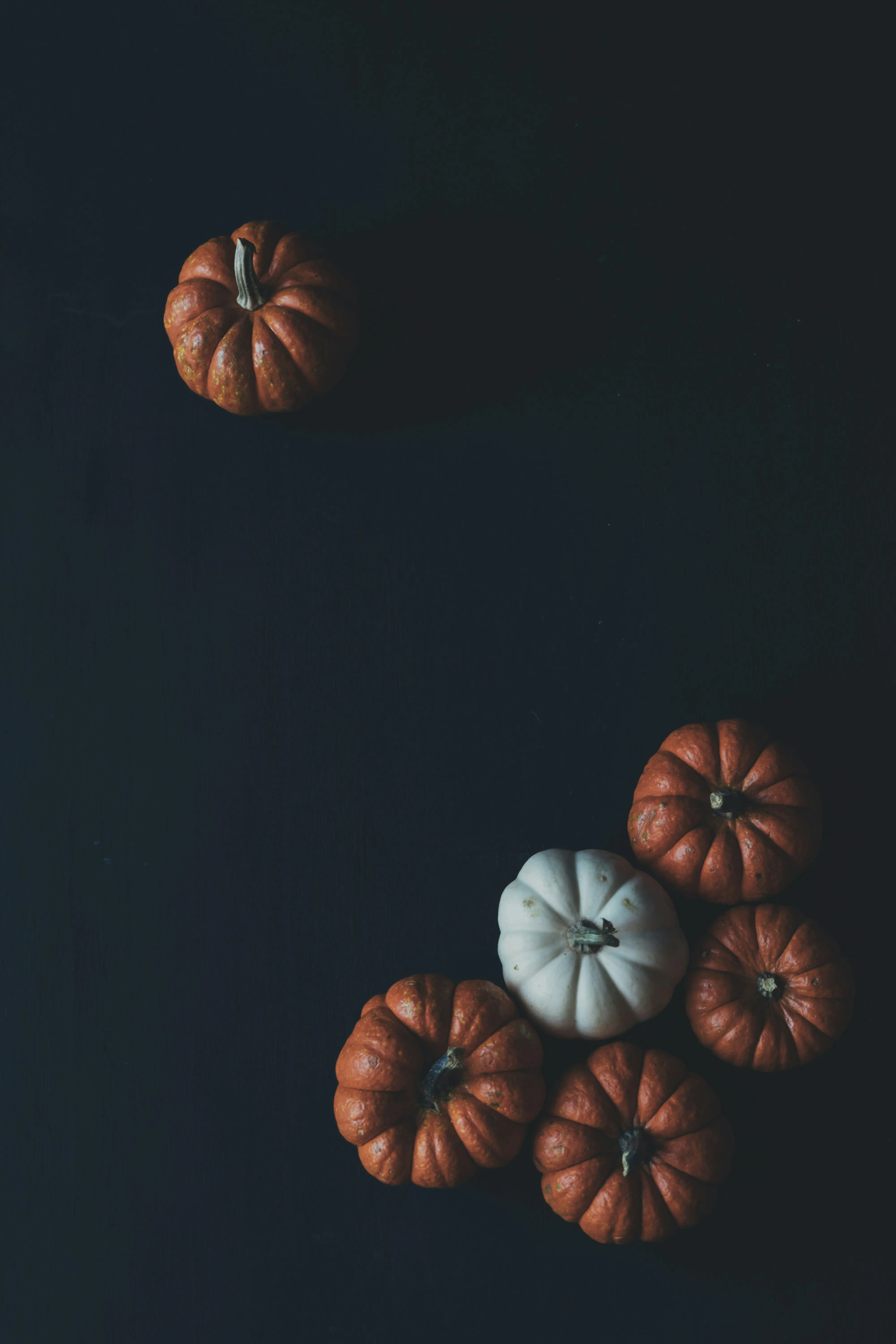 Artistic Mini Pumpkins on Dark Background Wallpaper