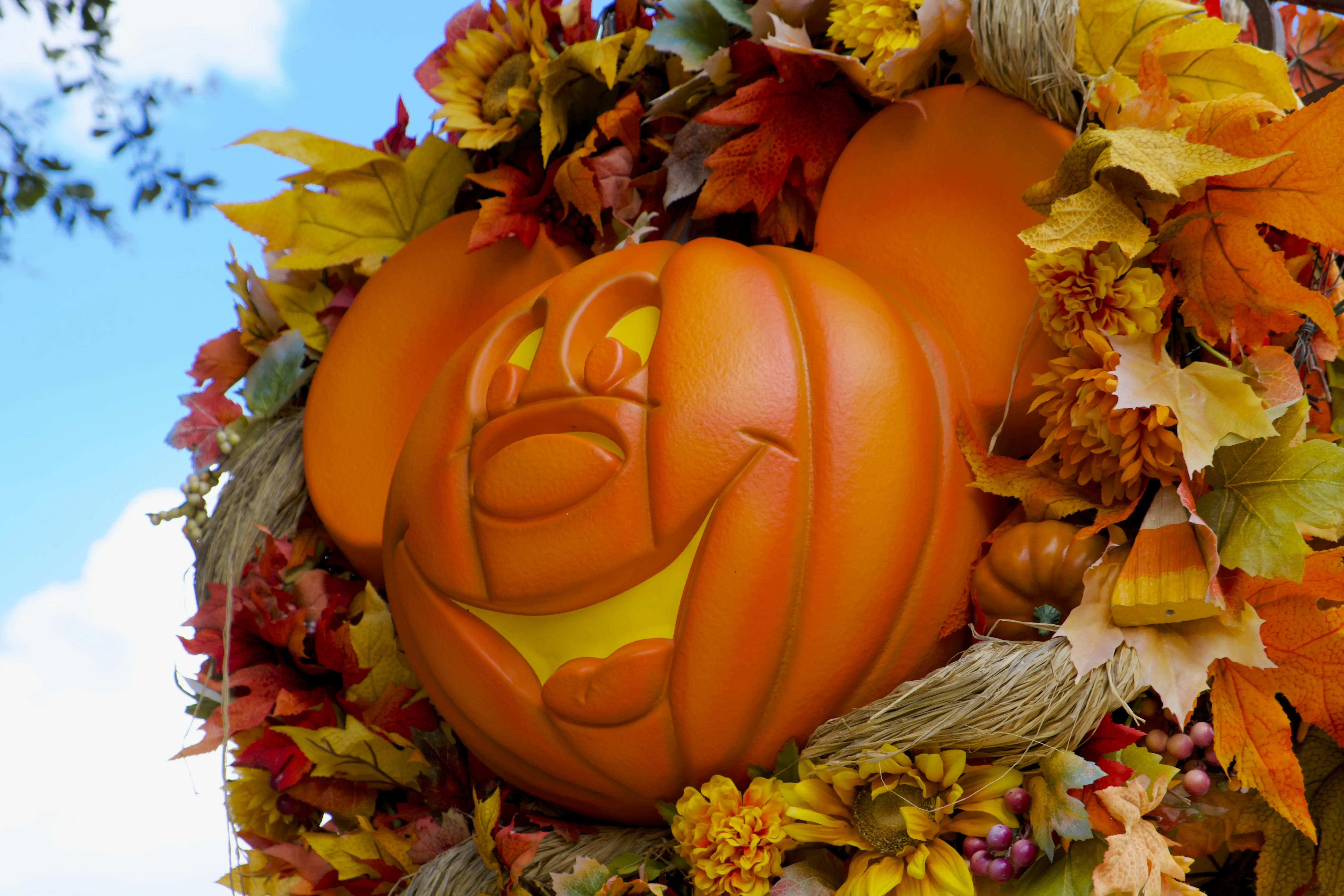 Artistic Pumpkin Carving with Leaves and Flowers Wallpaper