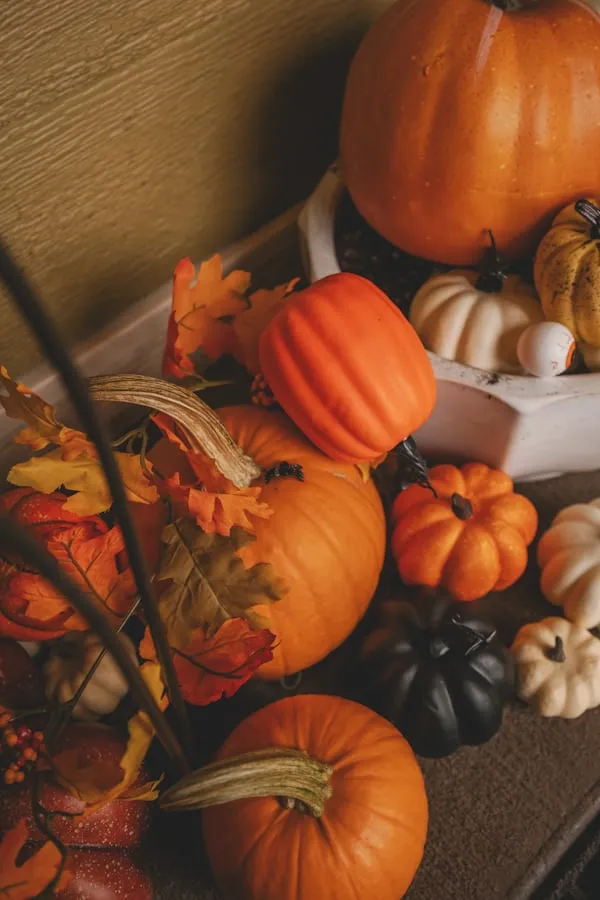 Assorted Pumpkins and Autumn Decoration For Halloween