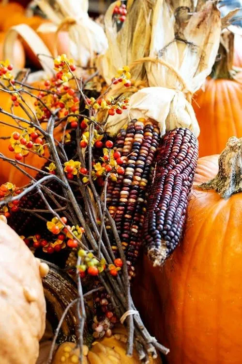 Autumn Harvest Table with Corn Gourds and Pumpkins Image