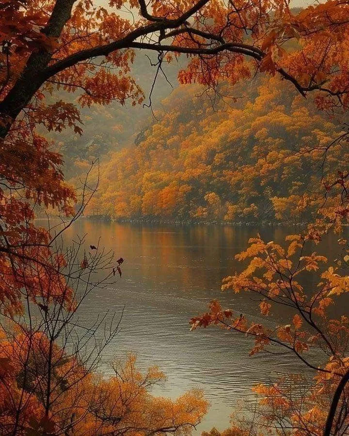Autumn Lake Scene with Trees and Golden Reflections