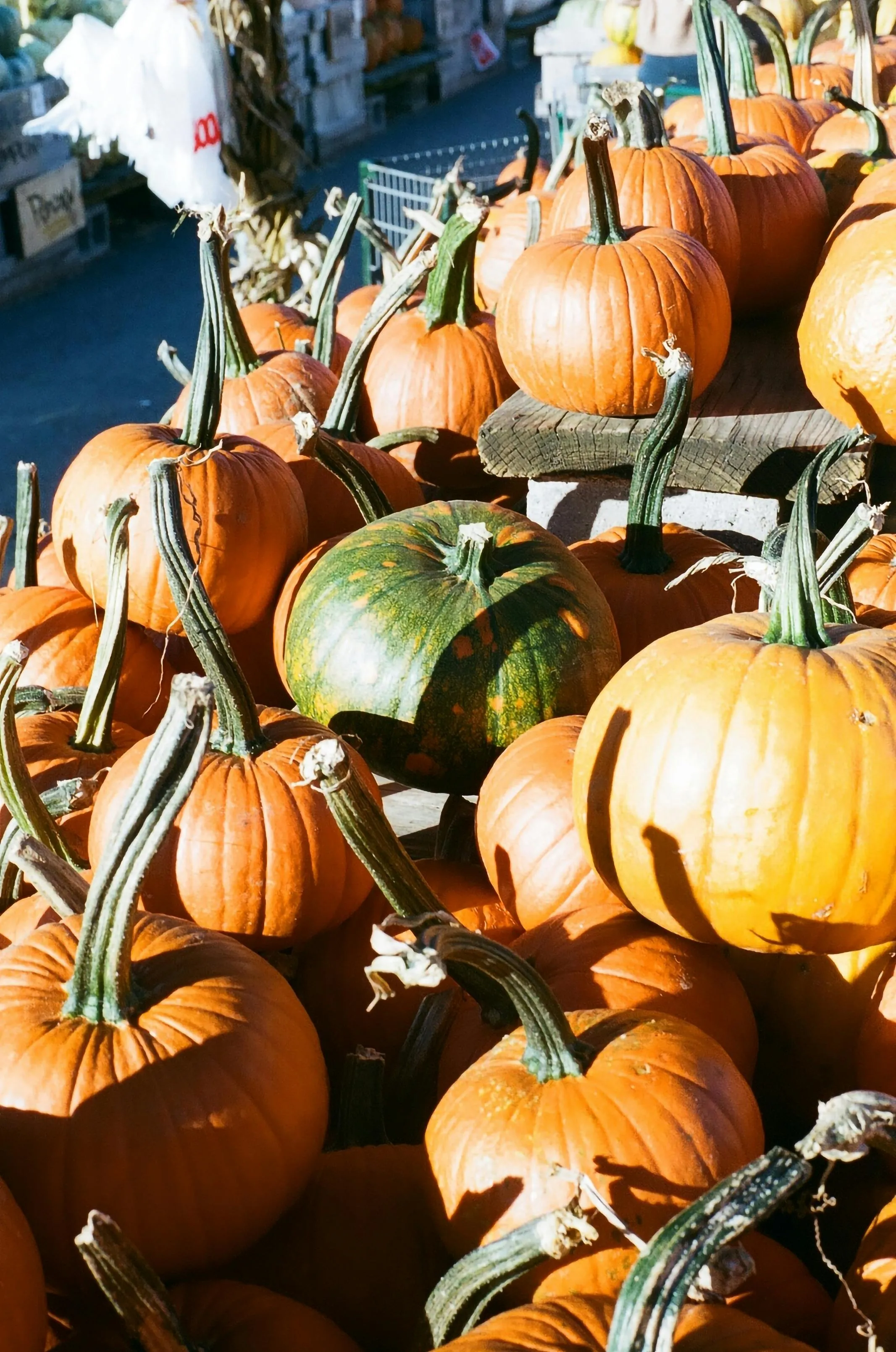 Autumn Pumpkin Harvest Display at Halloween Festival