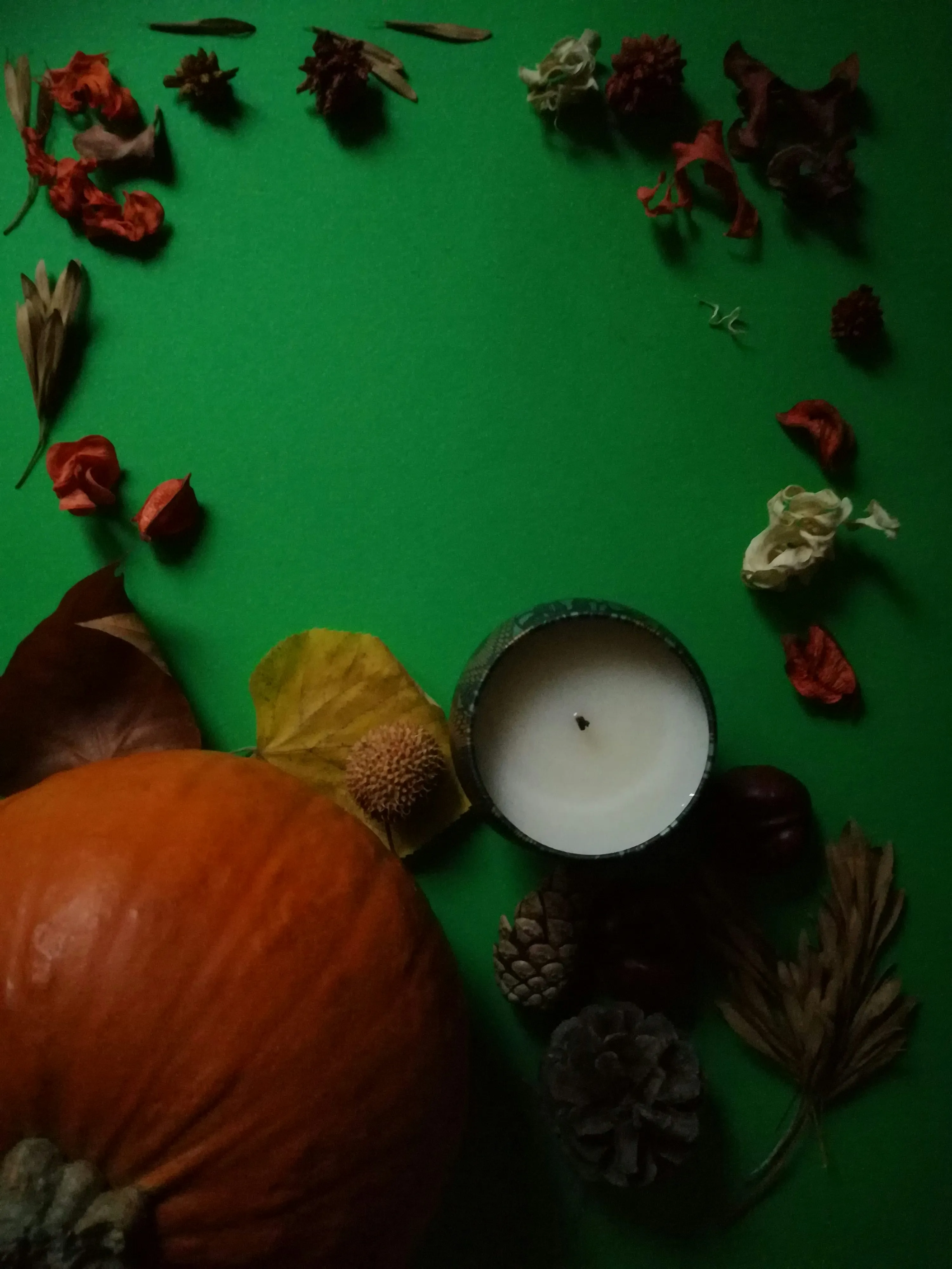 Autumn Pumpkin with Candle and Leaves on Green Background