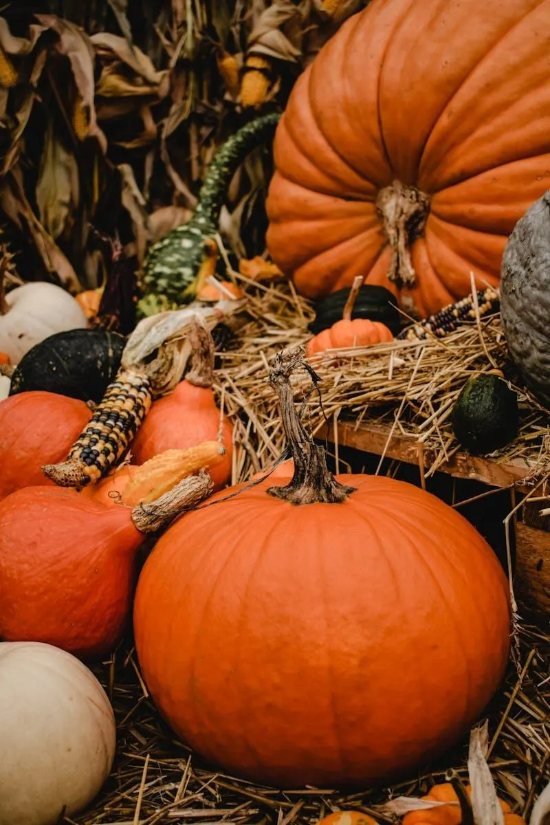 Autumn Pumpkins and Gourds in Cozy Seasonal Arrangement