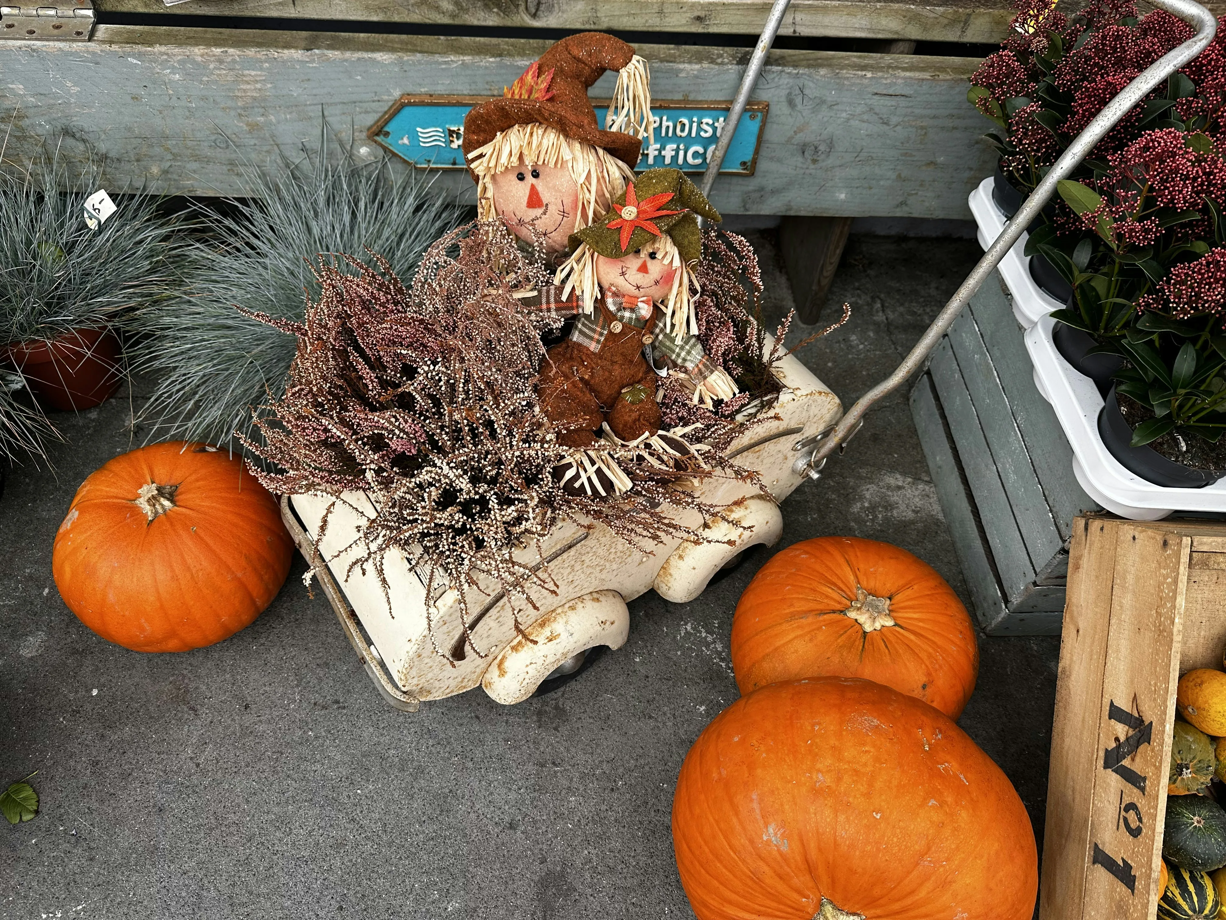 Autumn Scarecrow with Pumpkins and Farm Harvest Decortion