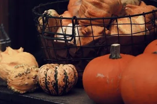 Basket Filled with Assorted Pumpkins and Gourds Wallpaper
