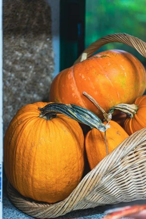 Basket Of Orange and Striped Pumpkins For Fall Decoration
