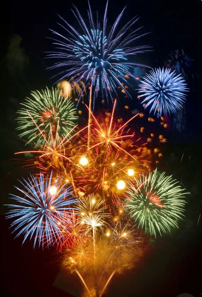Beautiful Colorful Fireworks Display over a Night Sky