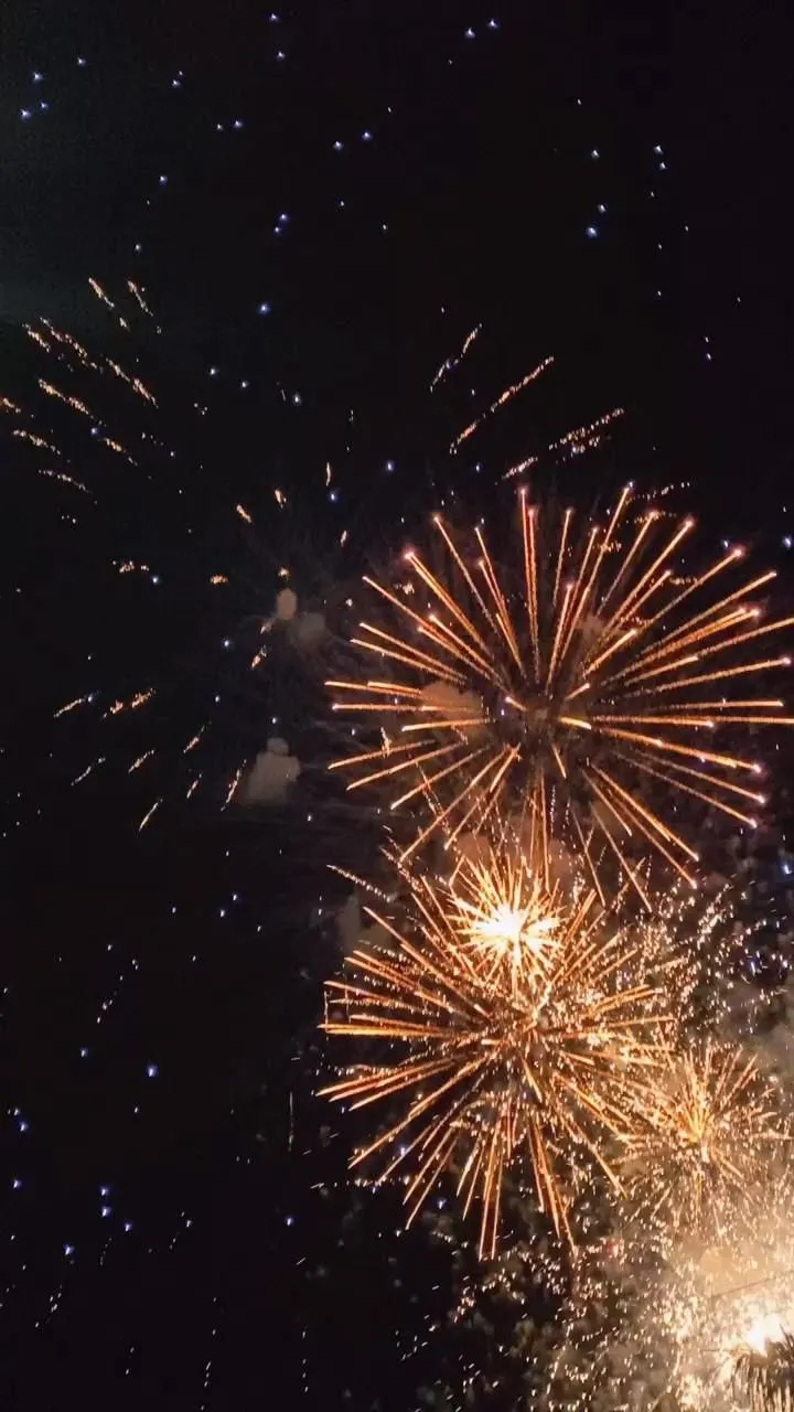 Beautiful colorful fireworks exploding in the night sky