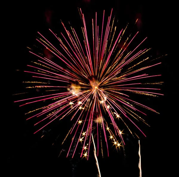 Beautiful Fireworks in Full Bloom Against a Dark Sky
