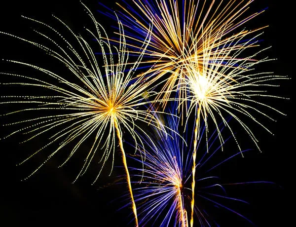 Beautiful Golden and Pink Fireworks Bursting in the Night Sky
