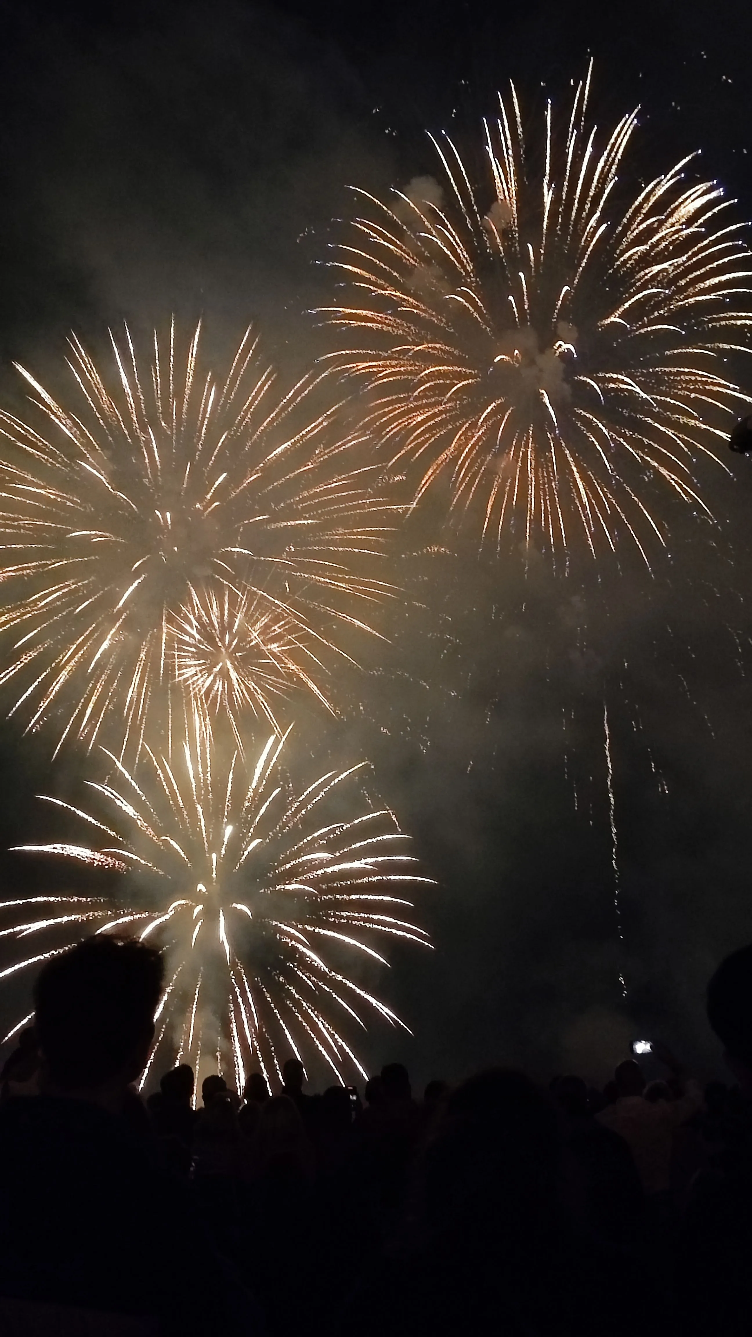 Beautiful multi-colored fireworks creating a stunning show
