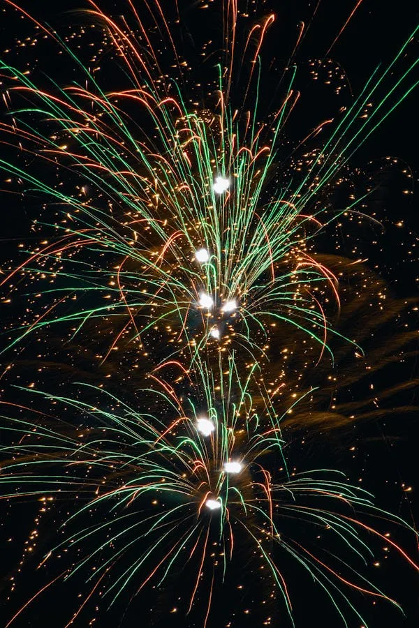 Beautiful multicolored fireworks exploding in the sky