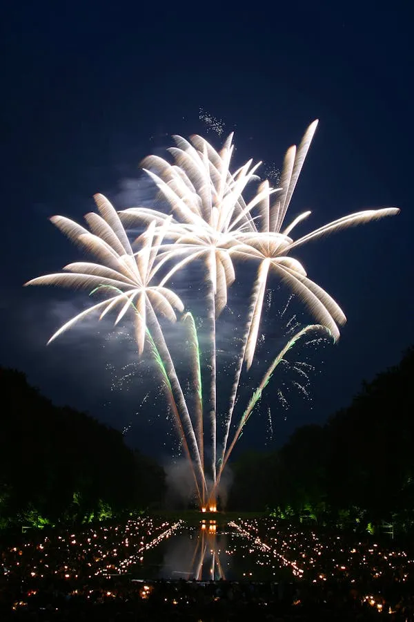 Beautiful Starburst Fireworks Lighting up the Night