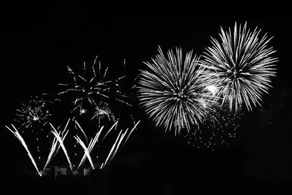 Black and White Firework Burst with Elegant Shape Wallpaper