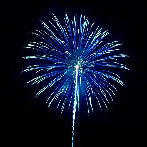 Blue and White Fireworks Bursting in the Night Sky image
