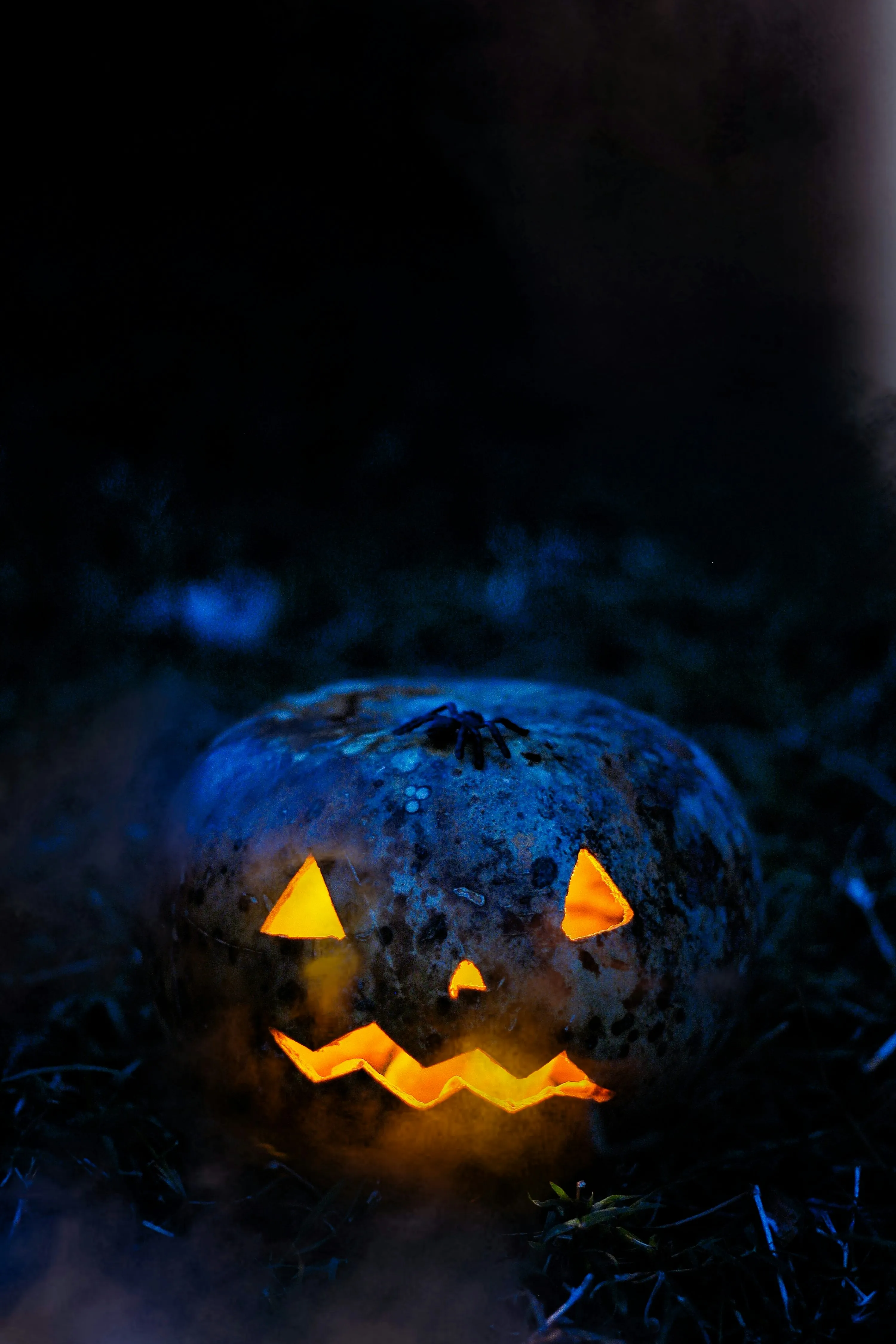 Blue Tinted Glowing Jack O Lantern in Dark Forest Image